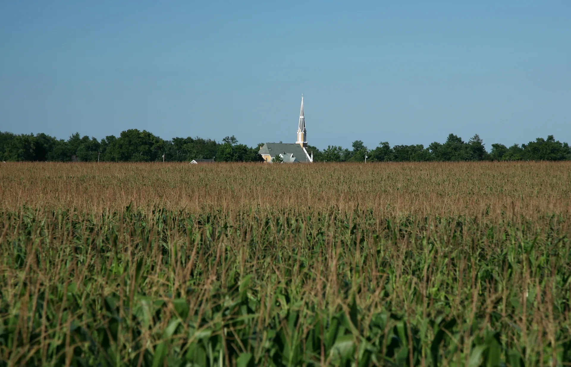 Church steeple rising over farmland in Penfield, Illinois.