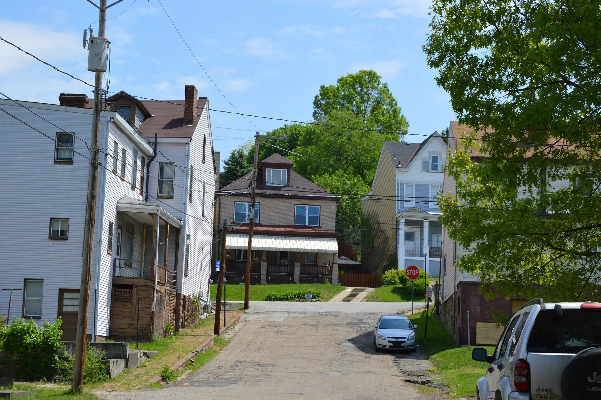 Homestead and Mount Troy in Reserve Township. Reserve Township, PA.
