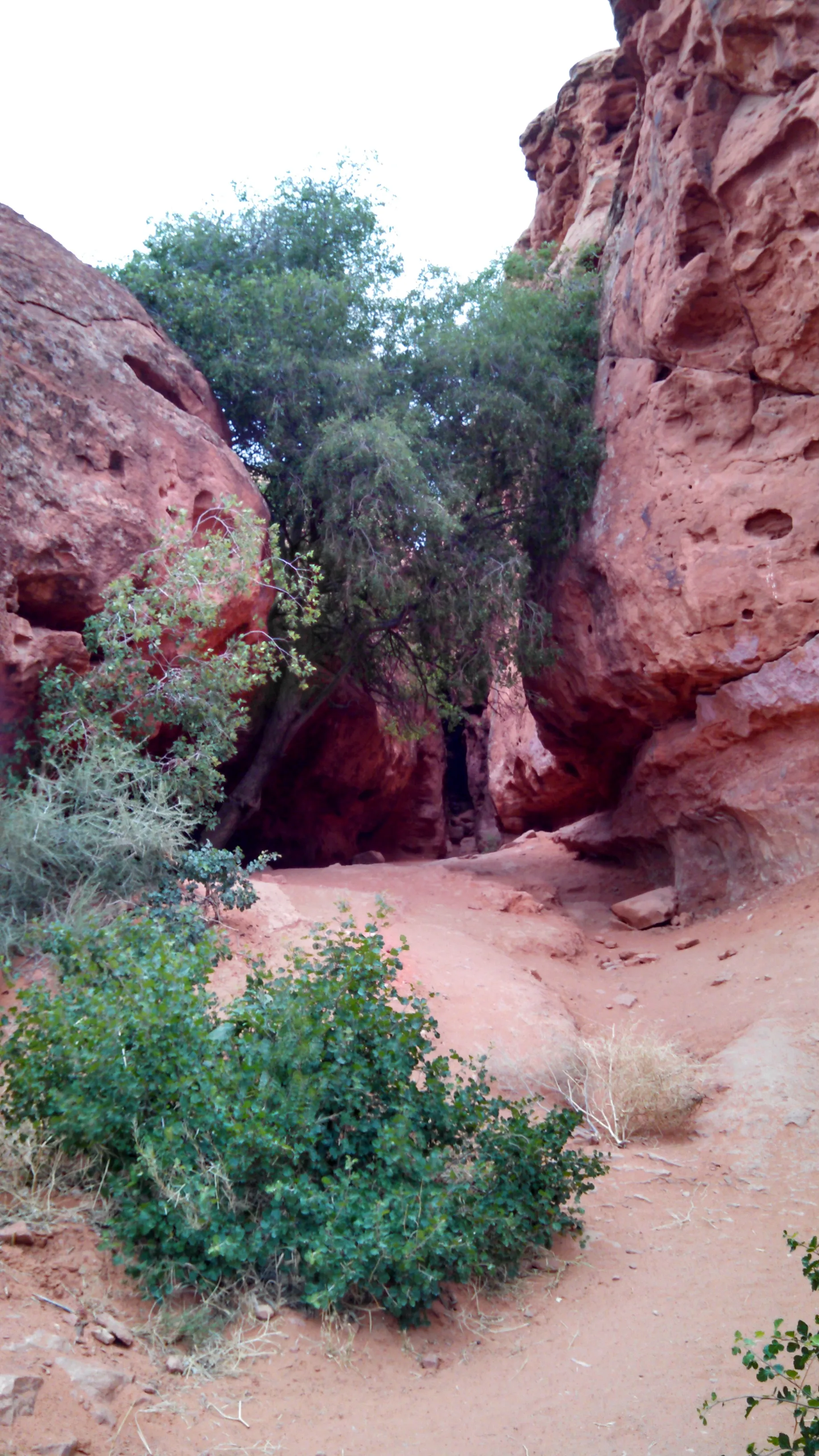 Pioneer Park, St. George
