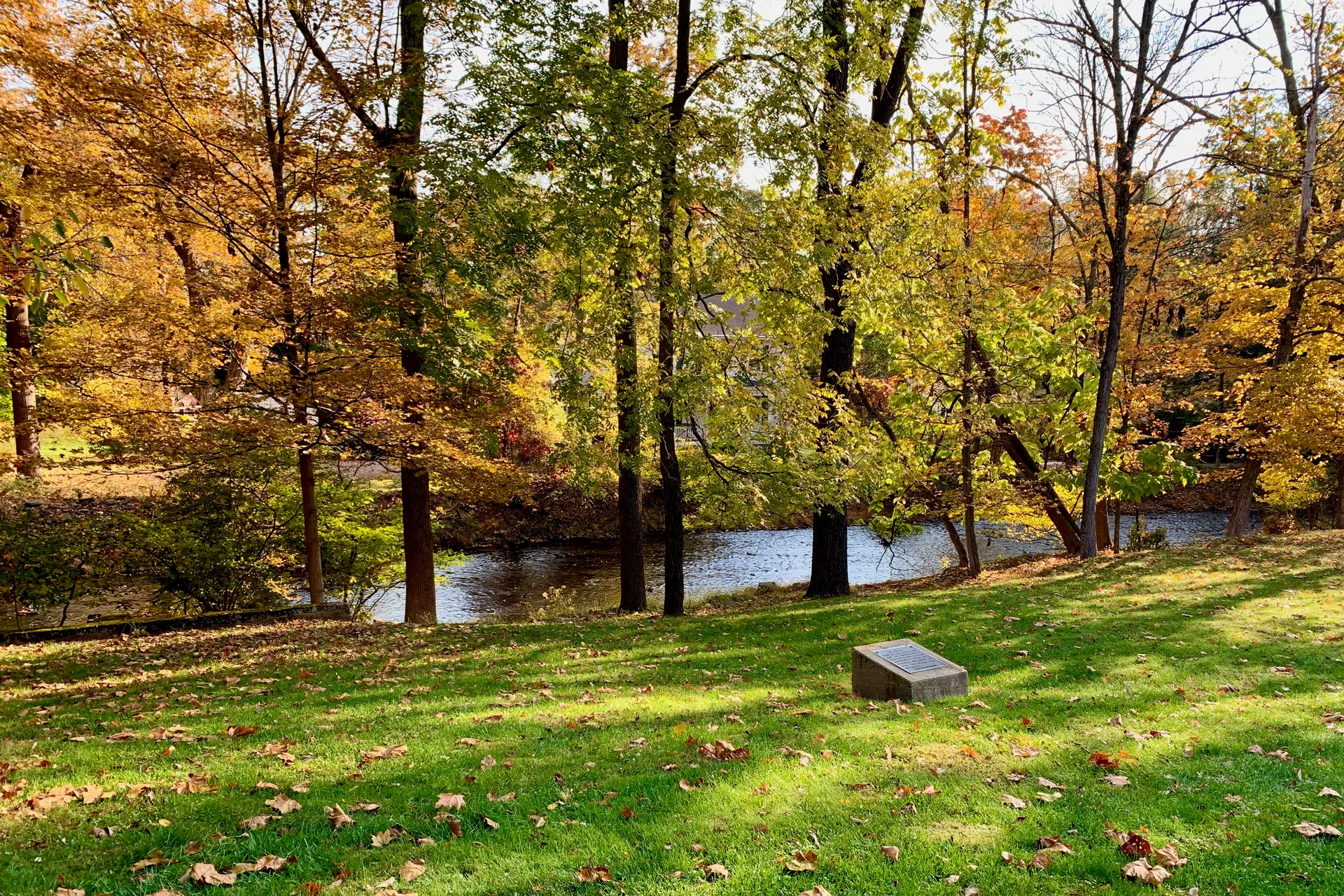 The Lower Mill Site in Pottersville is a leafy park by the river, with golden trees and a lawn.