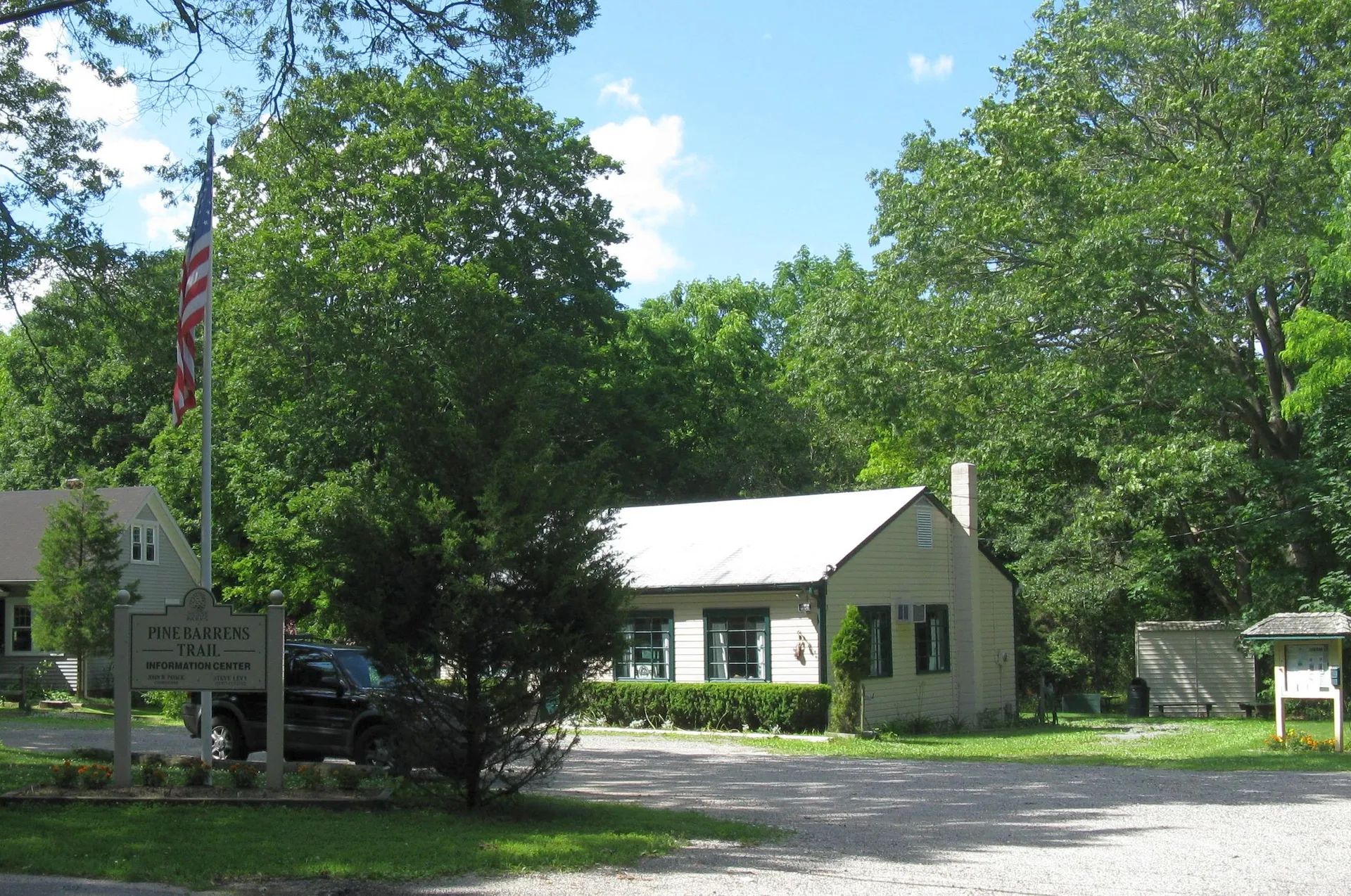 Li-pine-barrens. Manorville, NY.