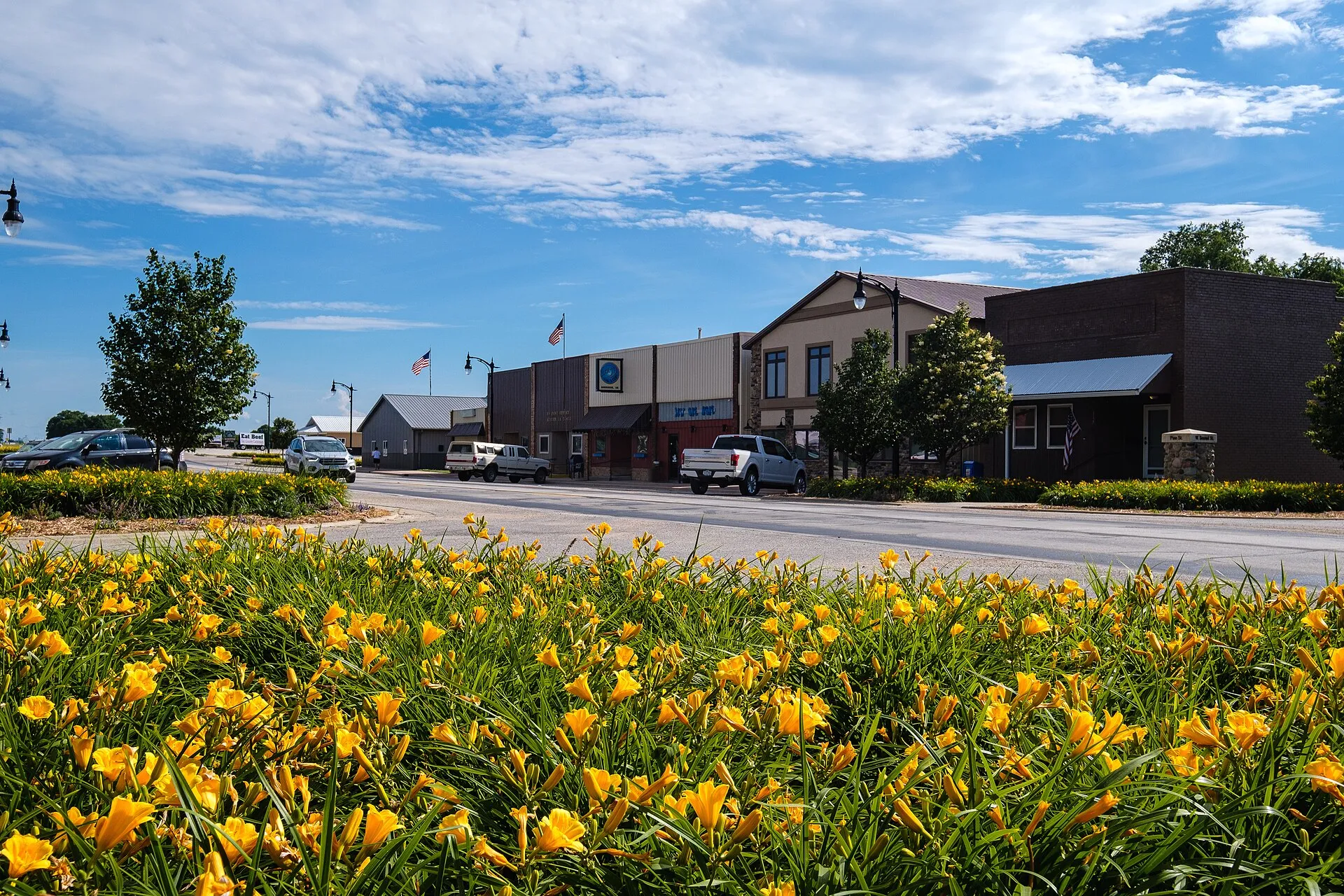 Yellow flowers in bloom along the main street of Auburn, Iowa.