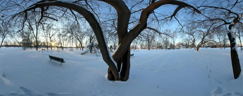 Centennial Park, Oak Lawn