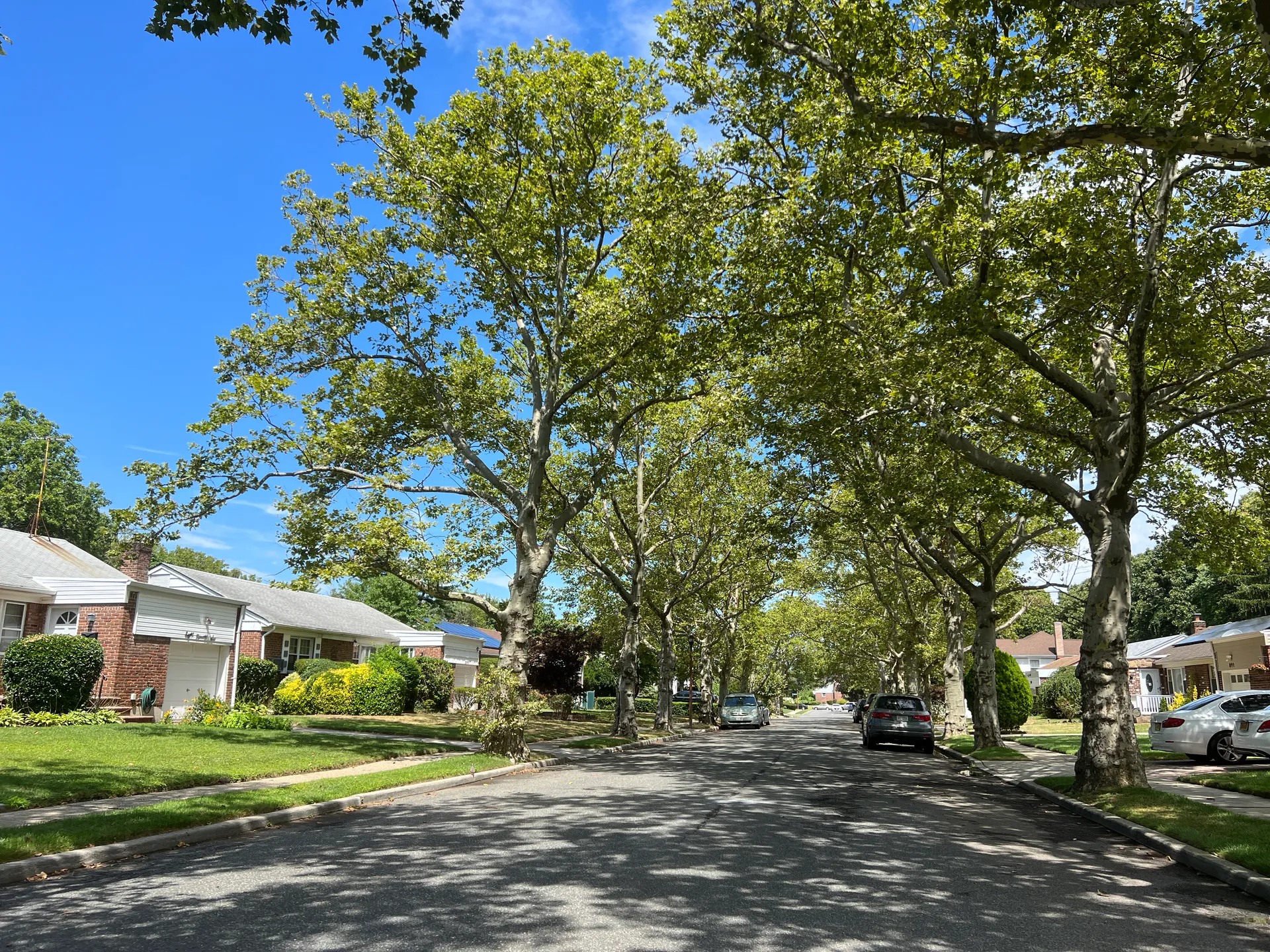 Tree-shaded residential street on Niagara Street in North Valley Stream, New York.