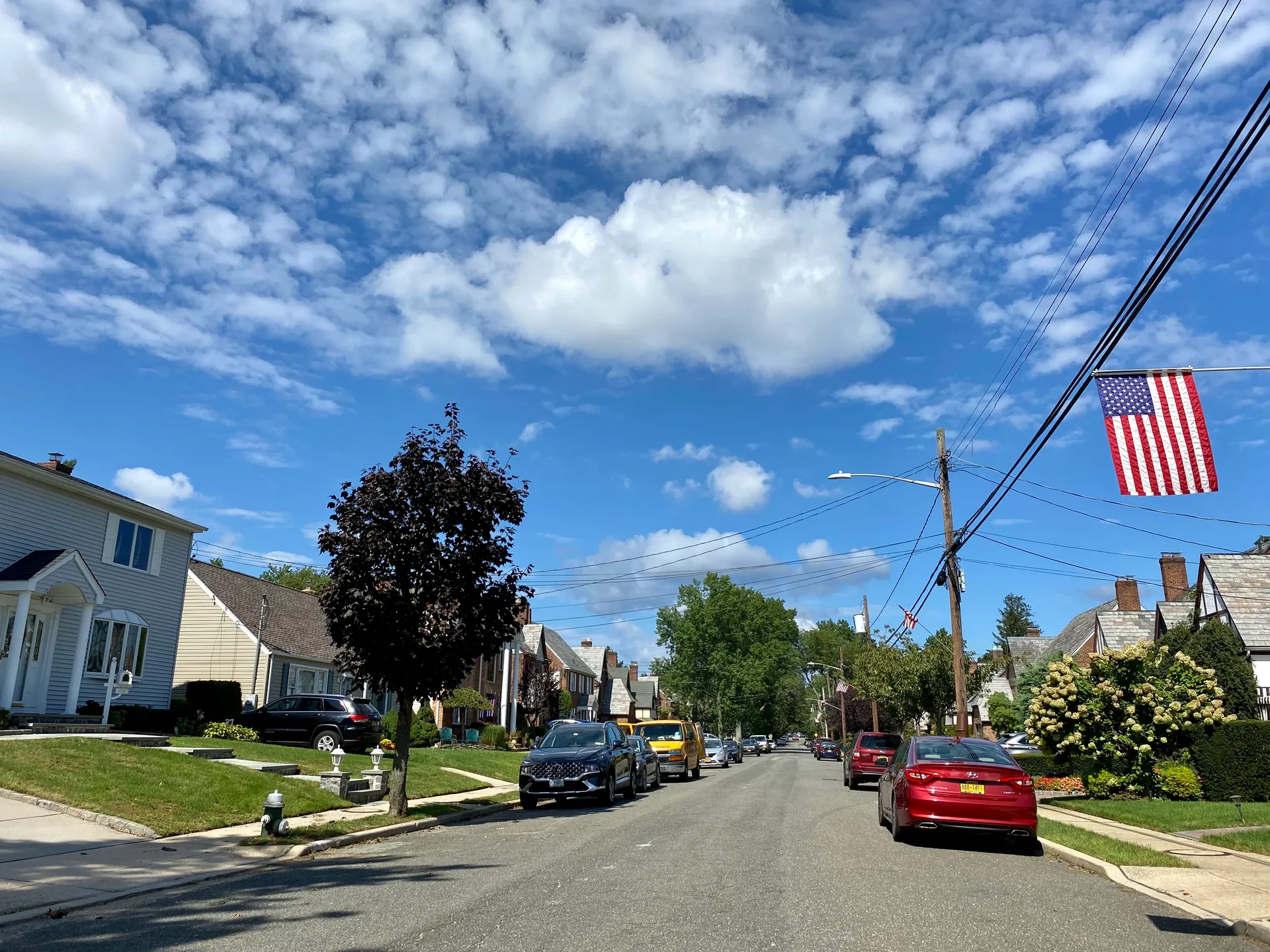 Residential street with homes and trees in Garden City South, New York.
