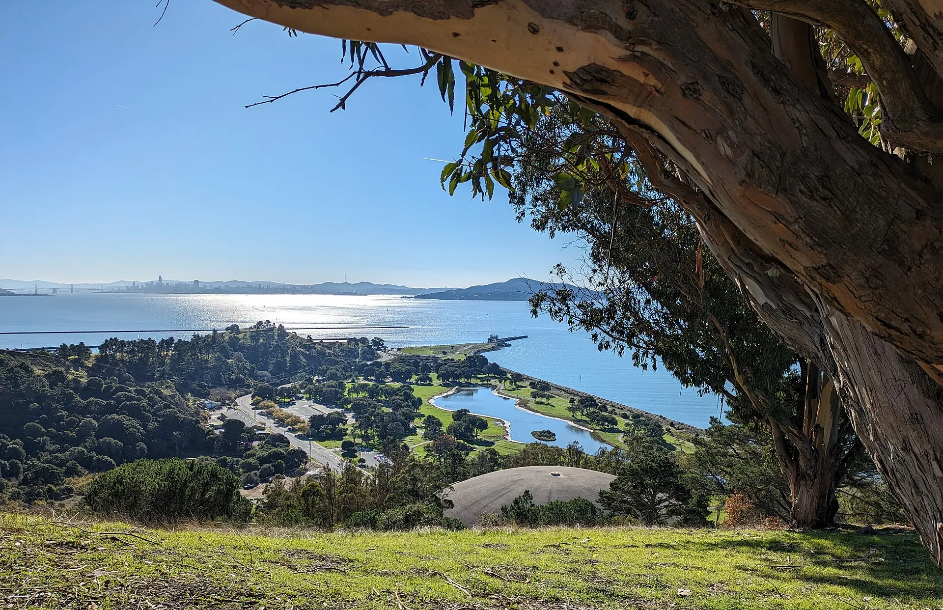 Miller/Knox Regional Shoreline