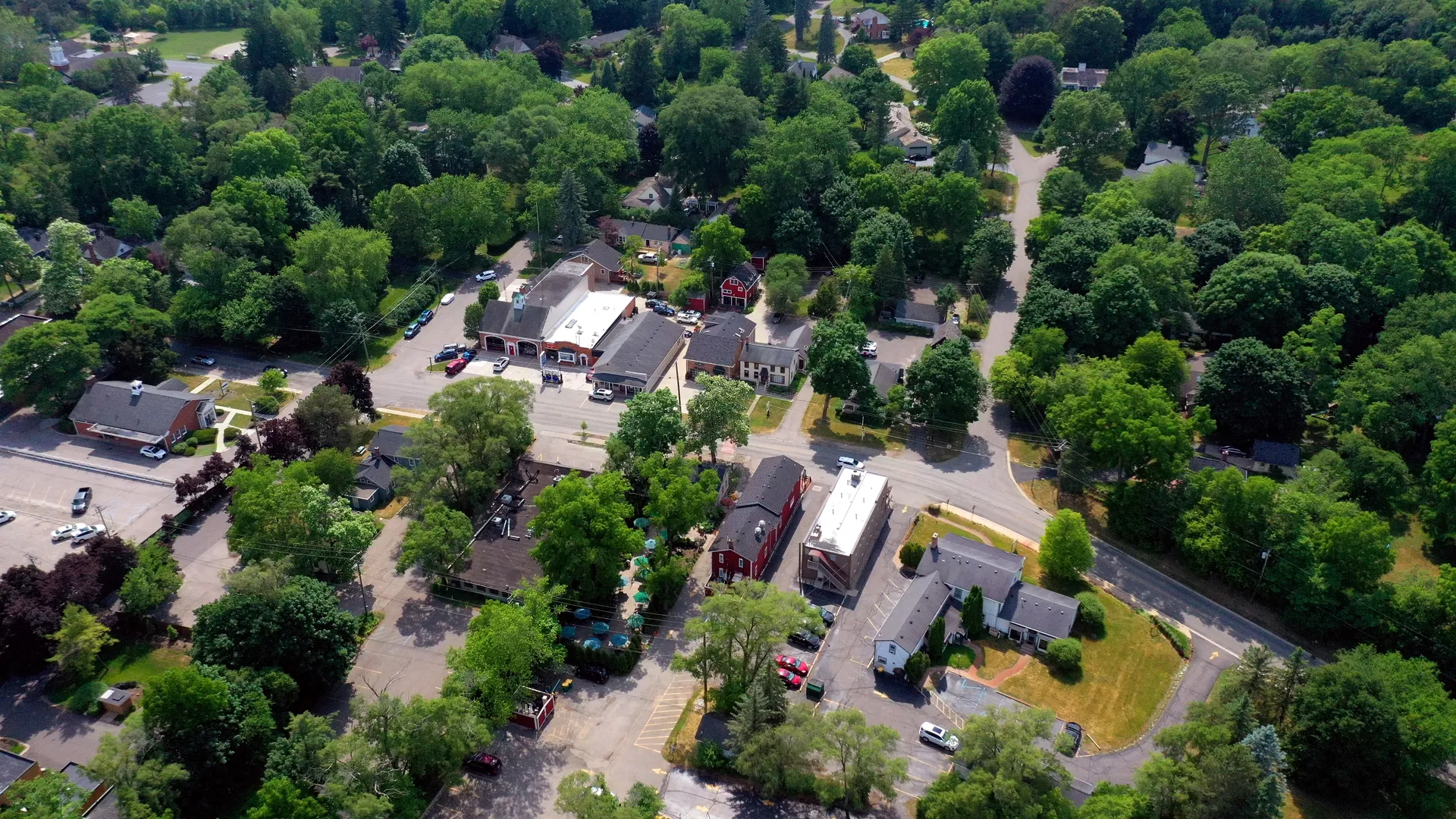 Aerial view of downtown Franklin and its tree canopy, Michigan.