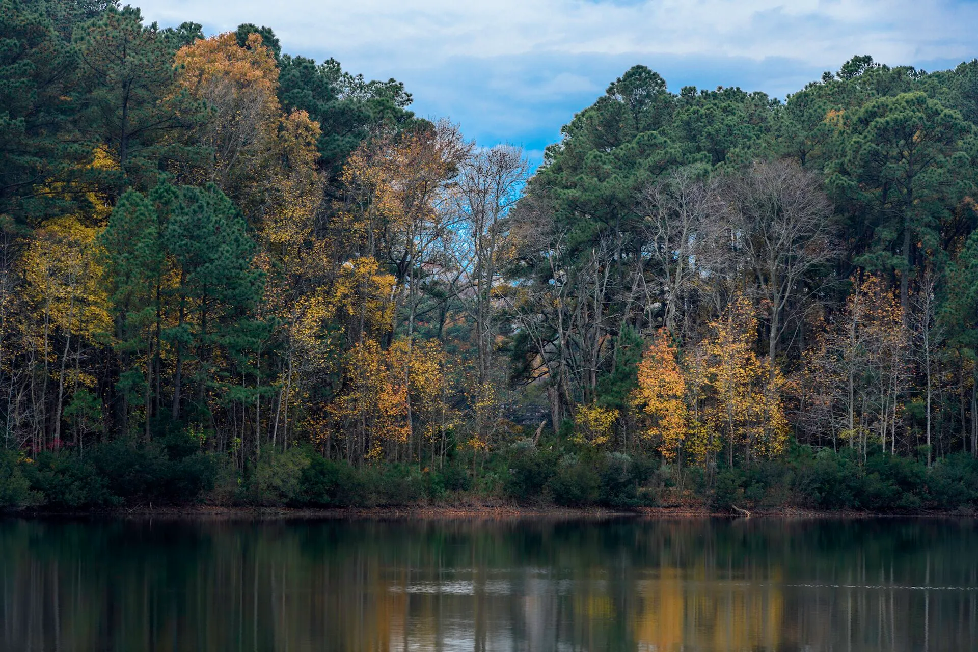 Hoffler Creek Wildlife Preserve