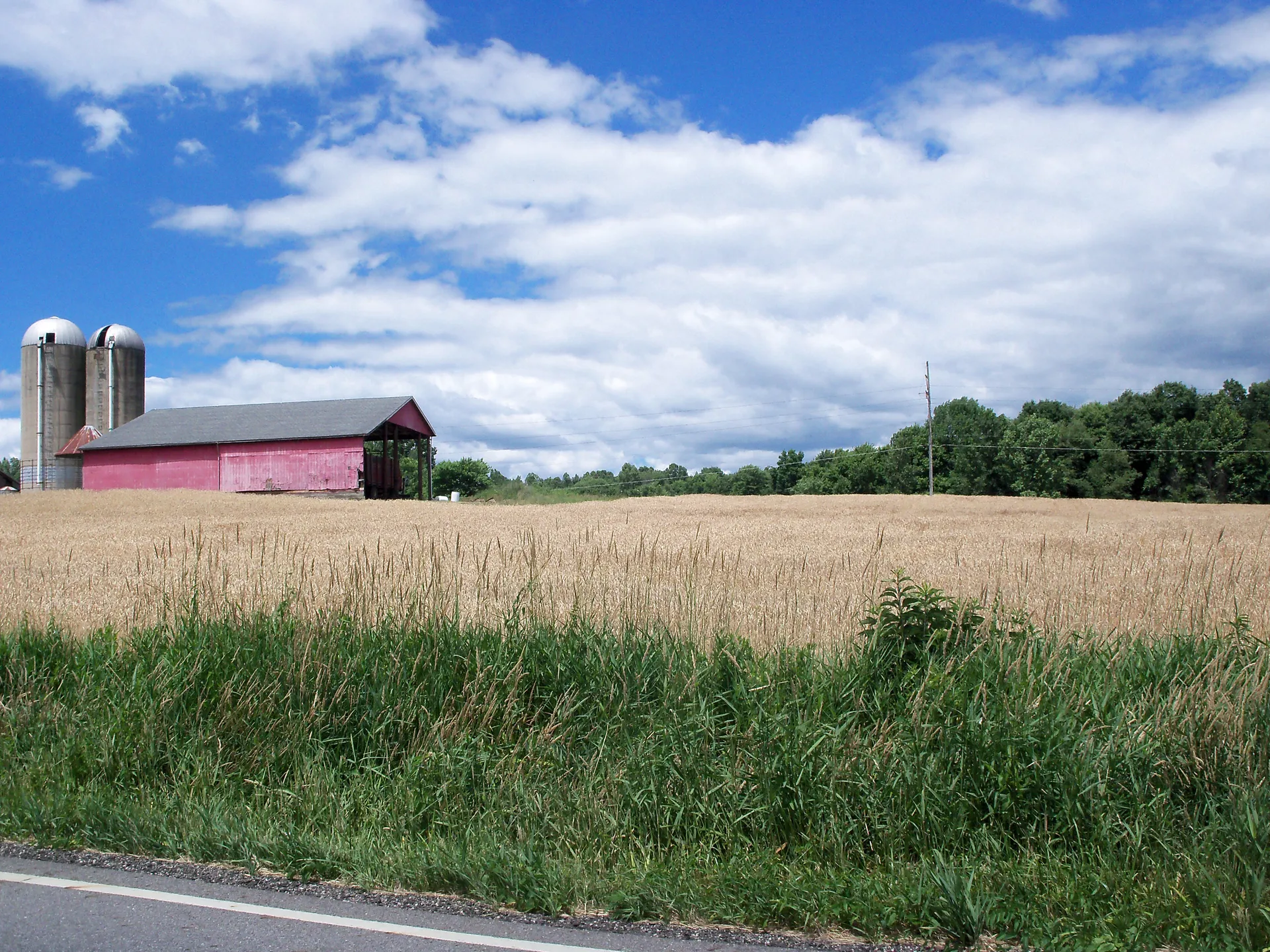 Wheat field and red barn in Windham, Ohio.