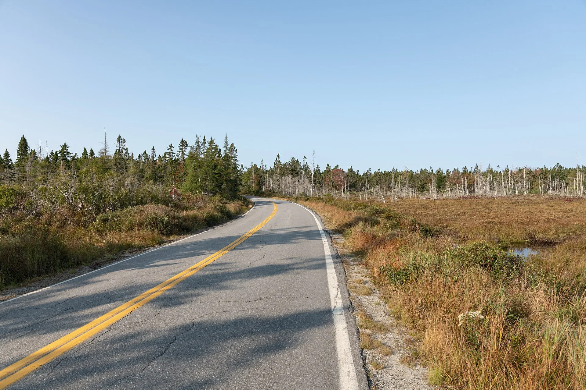 Seawall Road along the coast in Southwest Harbor, Maine.