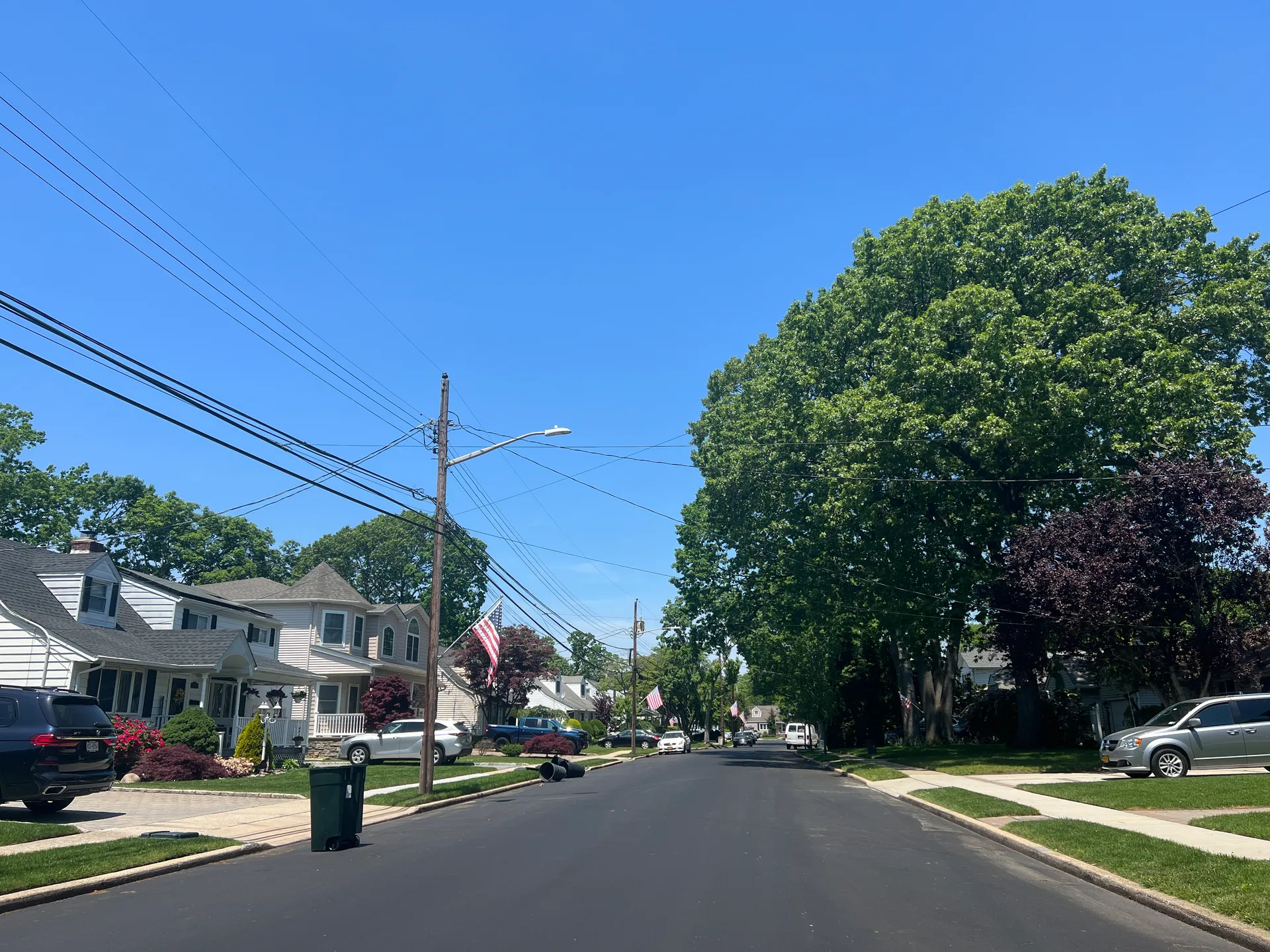 Tree-lined Stevens Avenue in North Merrick, New York.