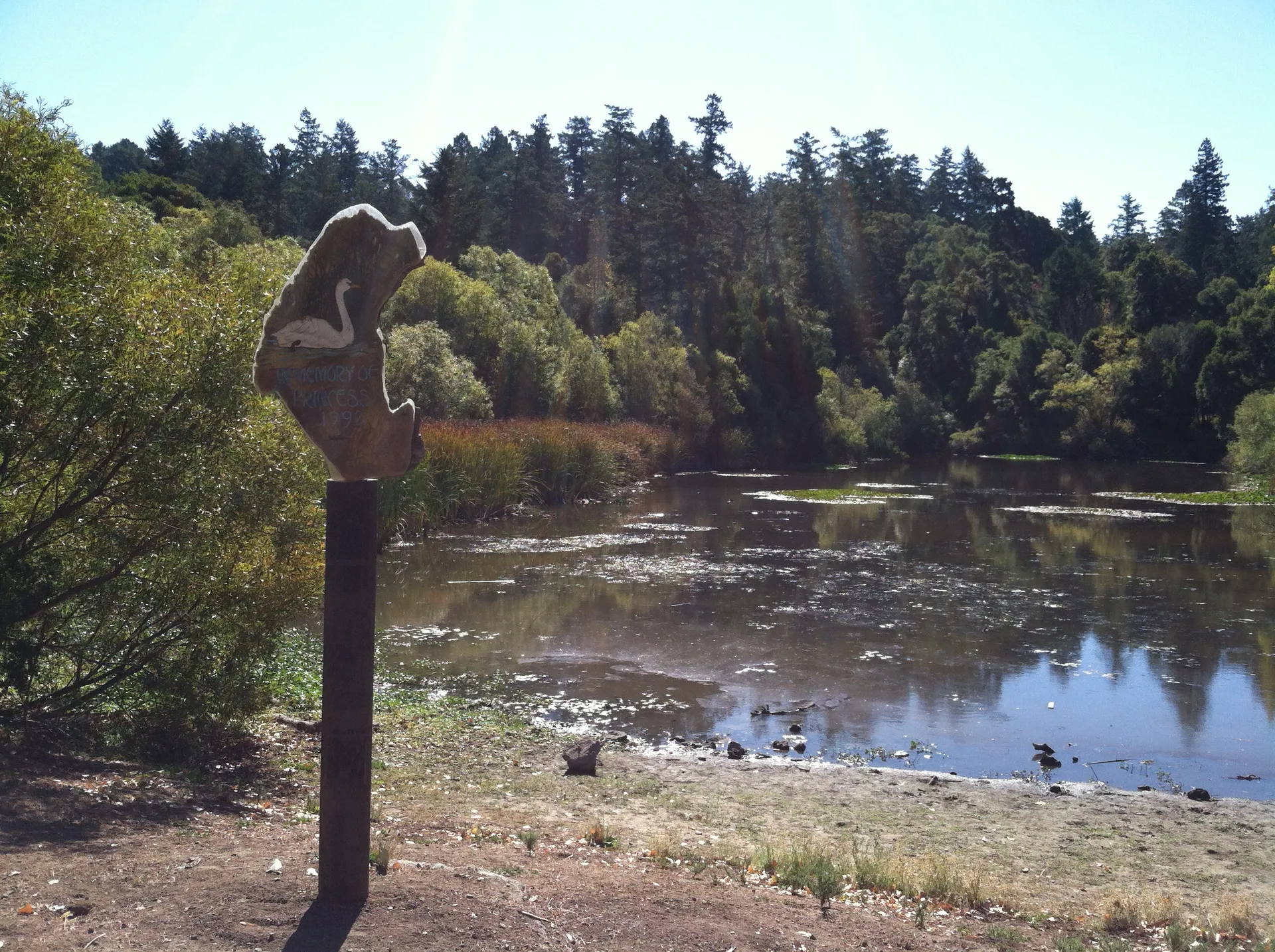 Reflection Lake in La Honda, California, at a low water level in 2013.
