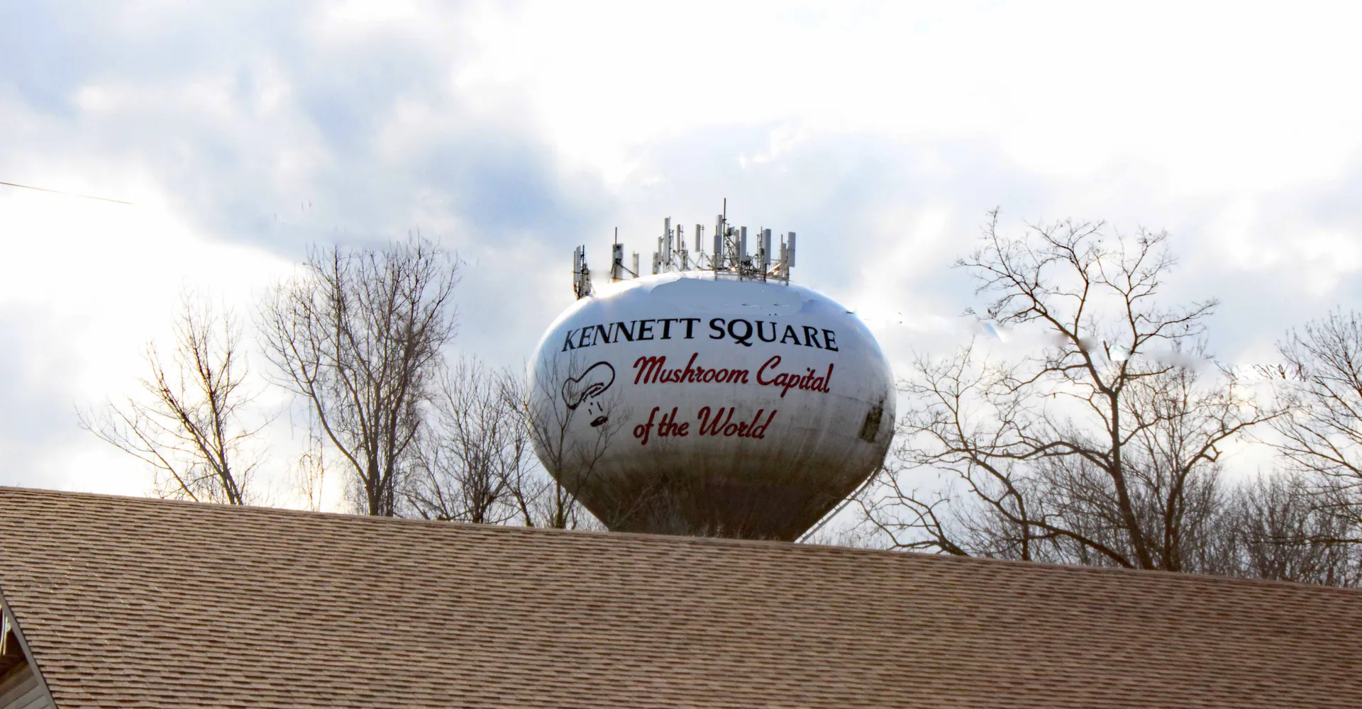 Kennett Square's round water tower is painted with mushrooms and the slogan calling the borough the Mushroom Capital of the World.