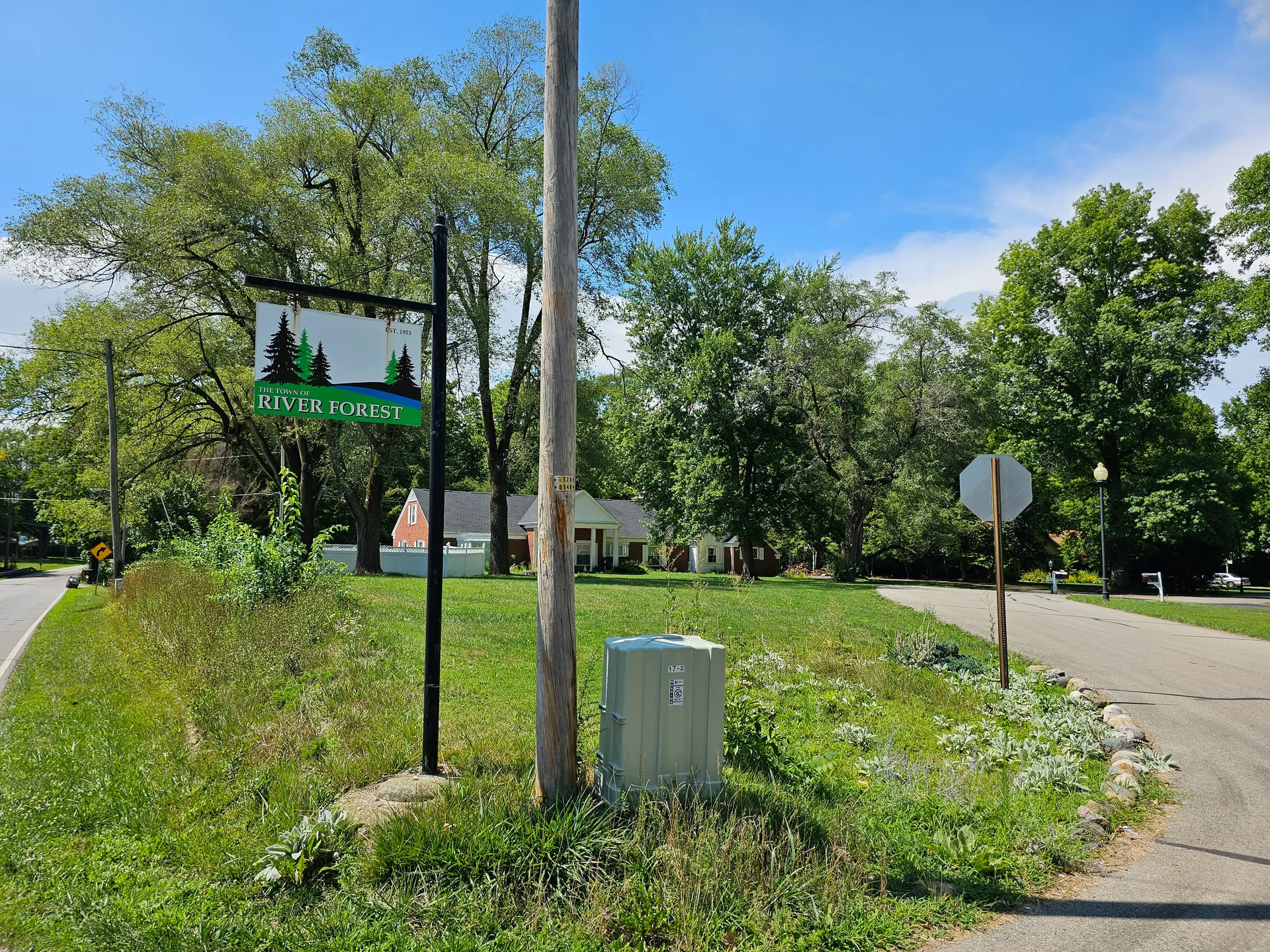 Green roadside and trees in River Forest, Indiana.