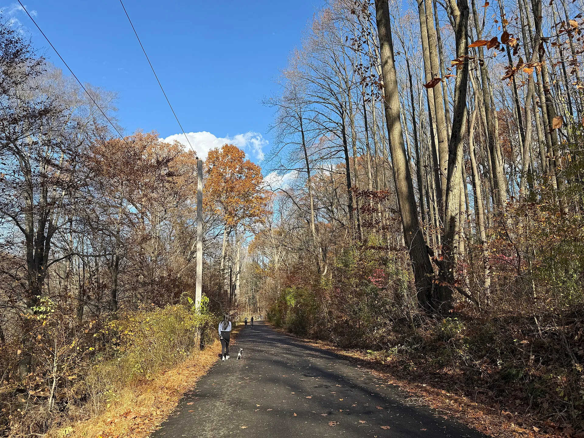 A paved multi-use trail winds through autumn woodland at Ridley Creek State Park in Edgmont Township.