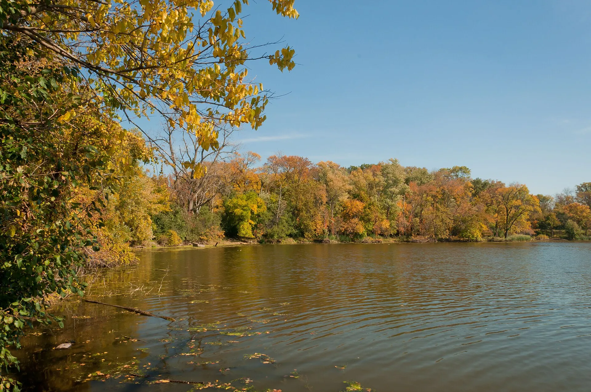 Skokie Lagoons South