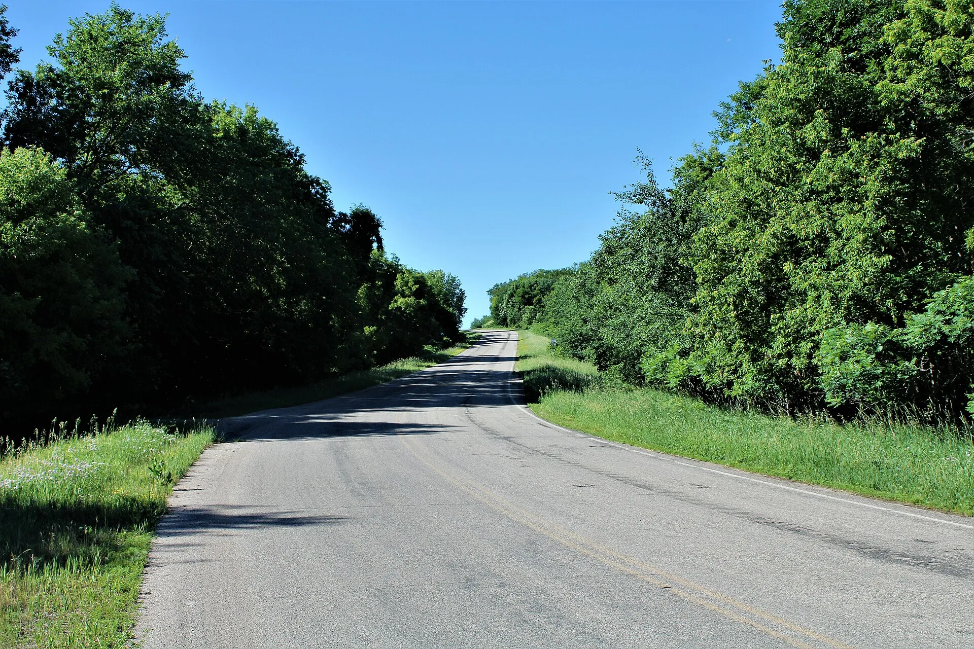 Country road through the trees in Tordenskjold Township, Minnesota.