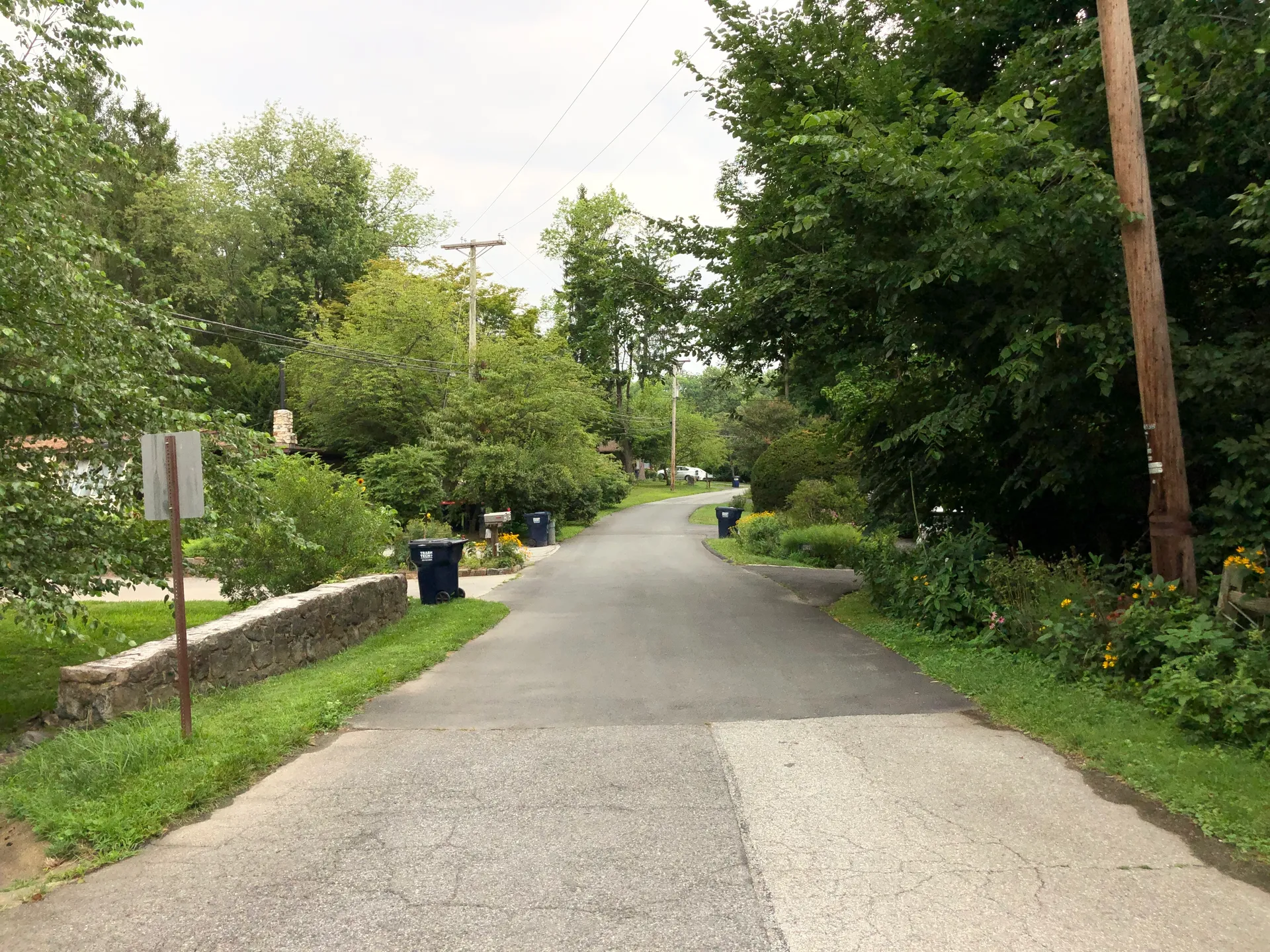 Tree-lined Orchard Road in the historic village of Arden, Delaware.