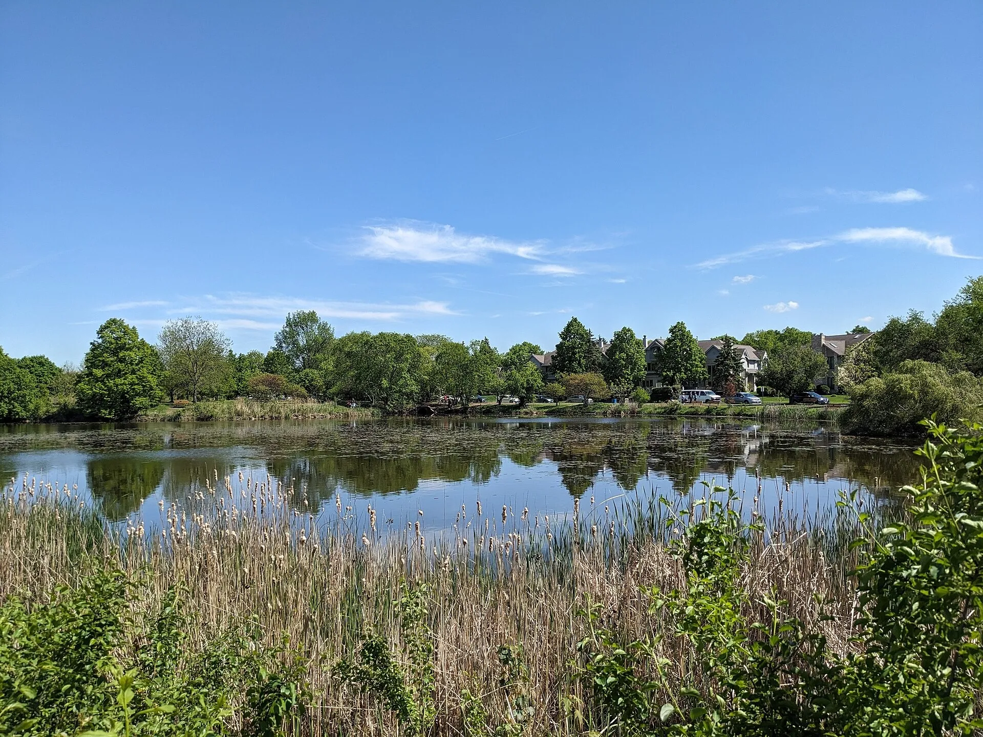 Lake Katherine. Palos Township, IL.