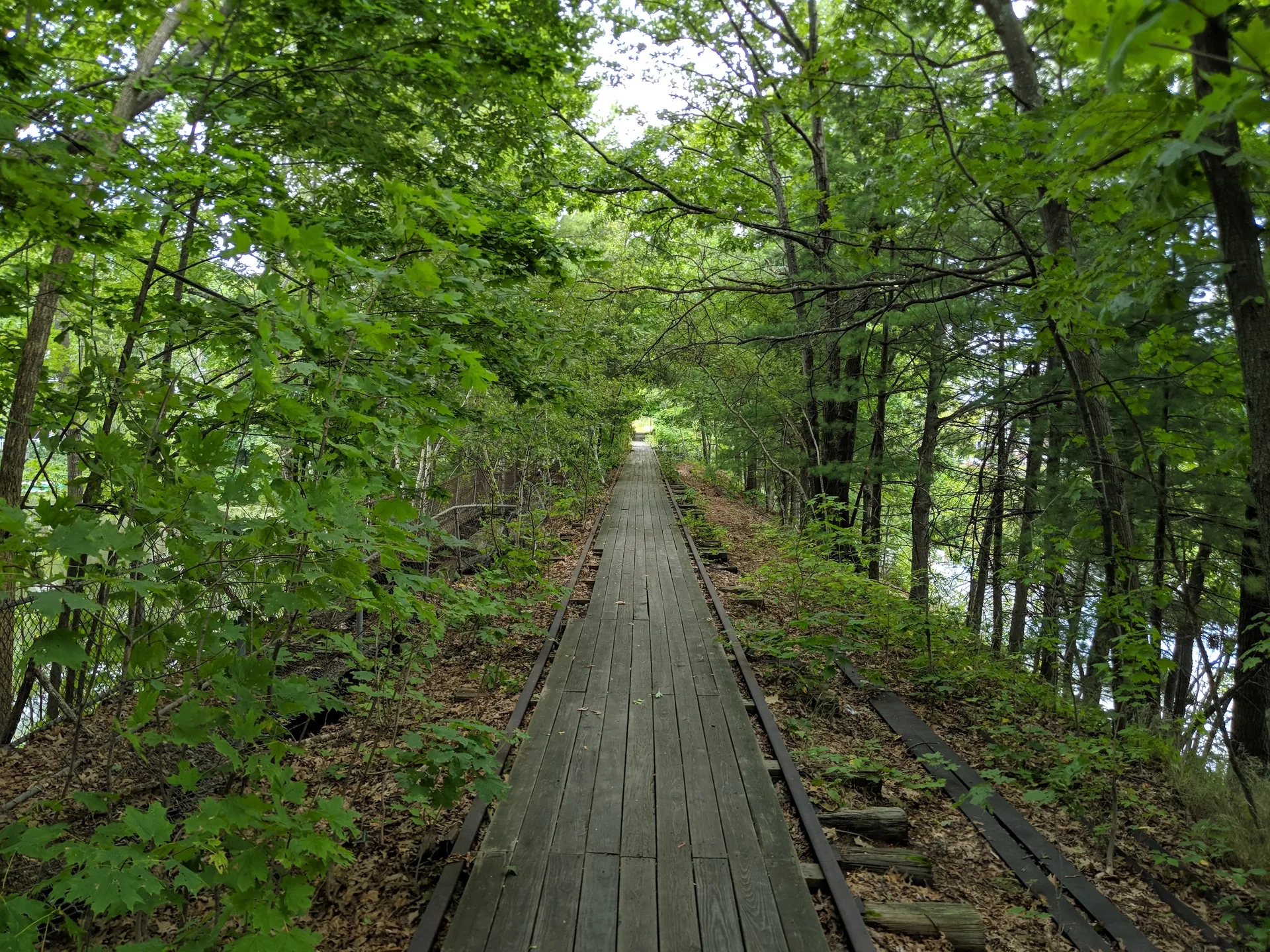 A long wooden boardwalk section of the Mass Central Rail Trail cuts straight through lush green woods in Hudson.