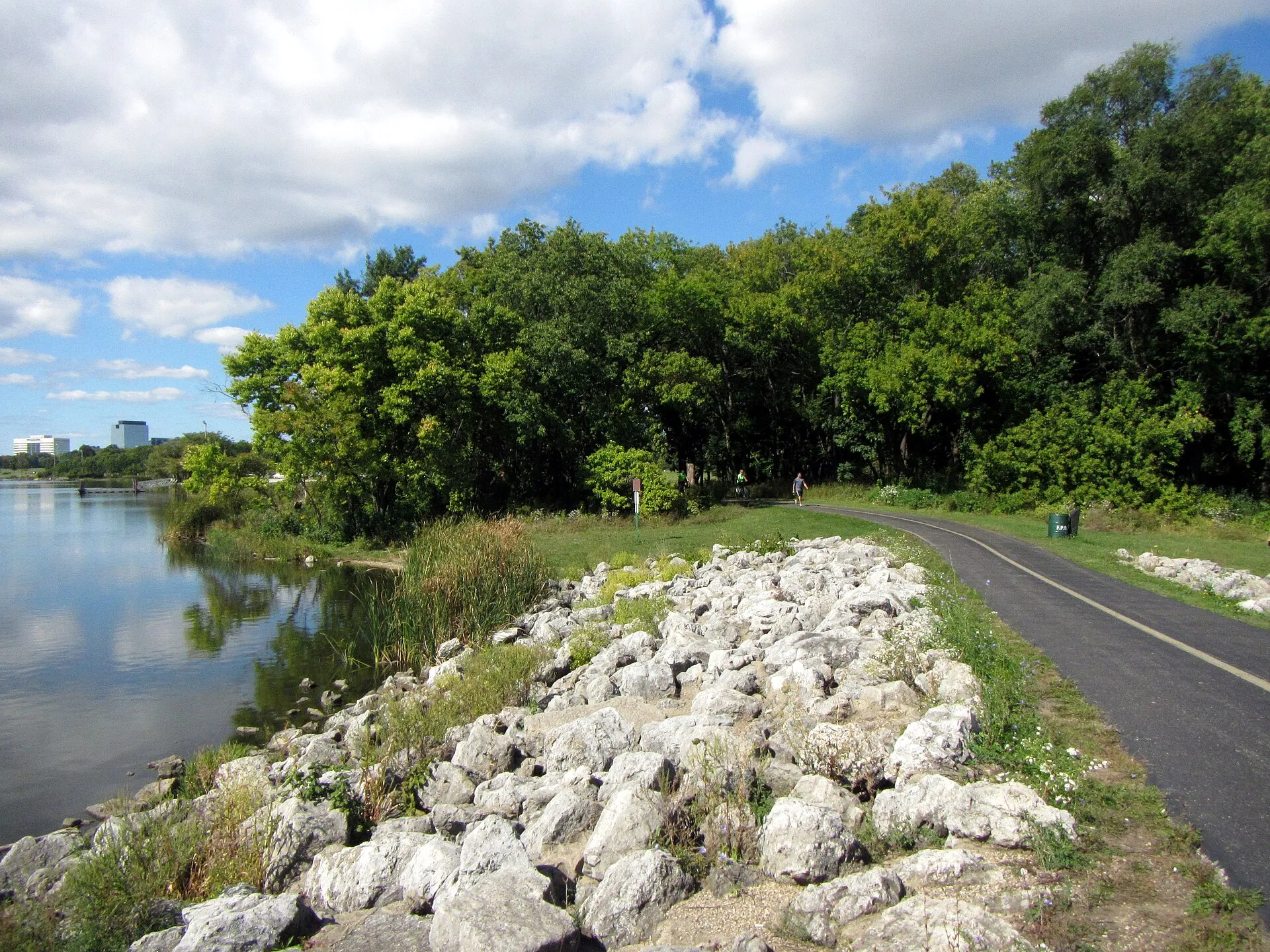 Ned Brown Preserve (Busse Woods)