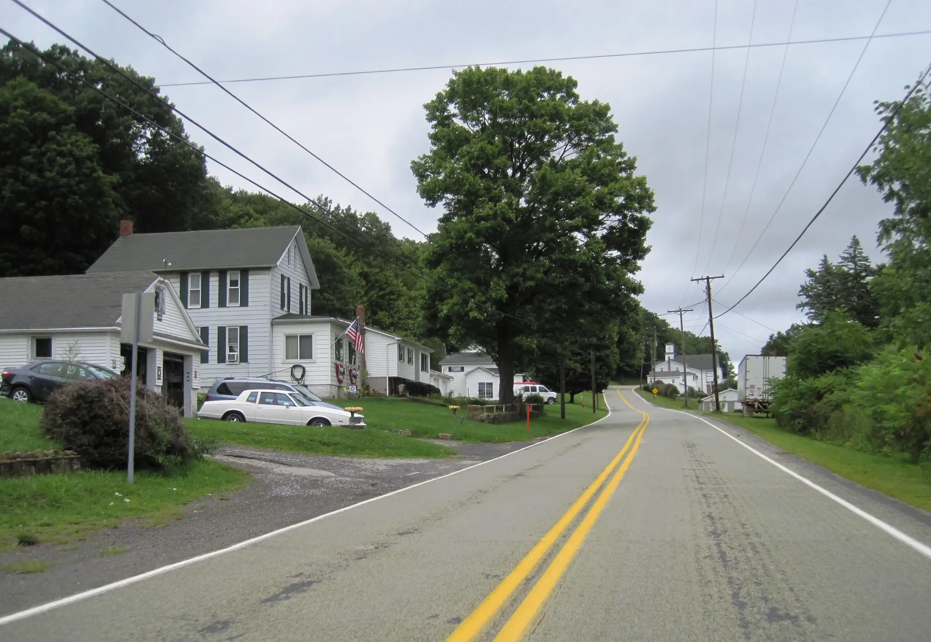 Skyline Drive (Route 865) passes white frame houses and a large shade tree in Blandburg, a village in Reade Township.