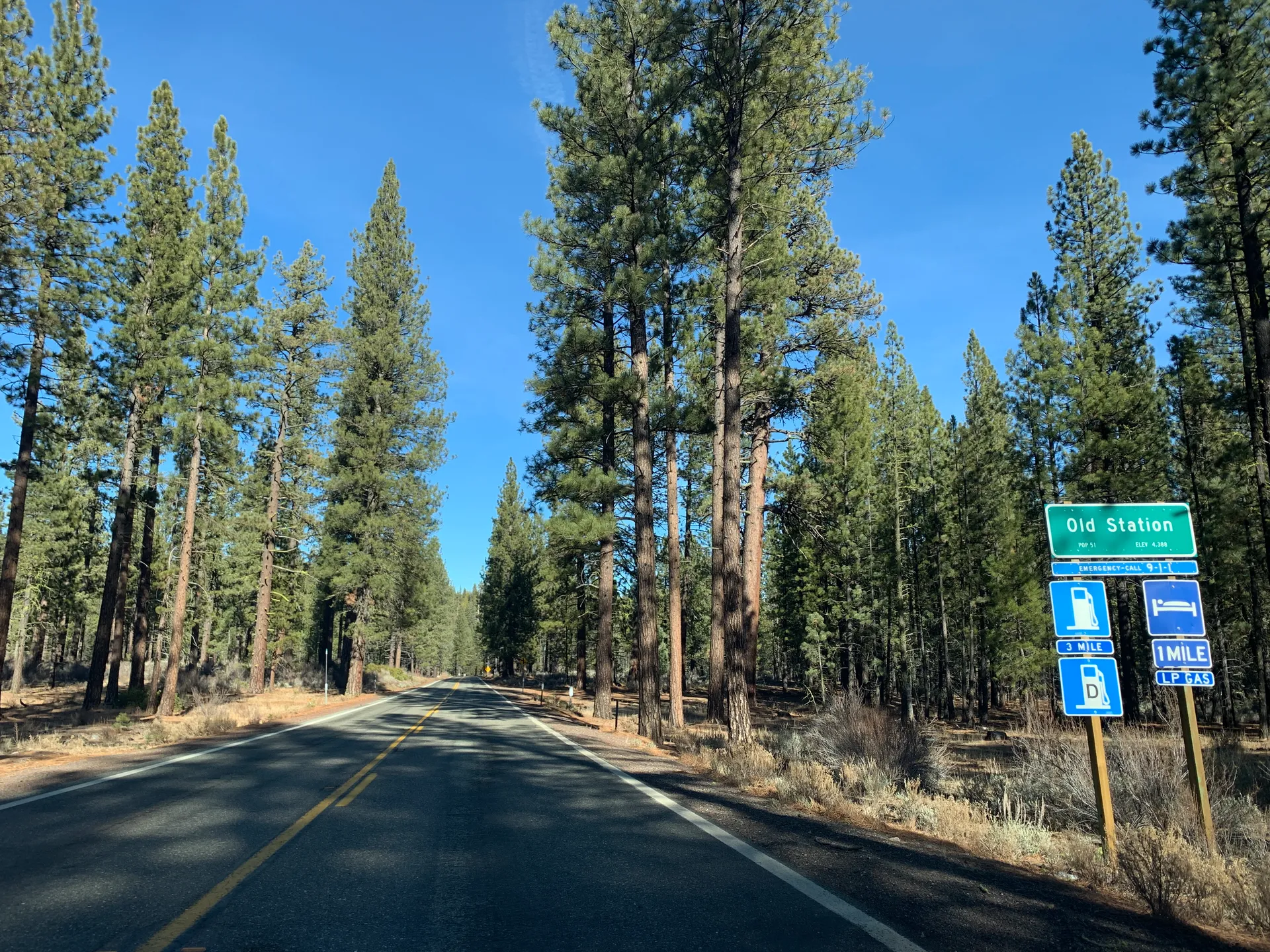 A forested road and Old Station roadside sign in California.