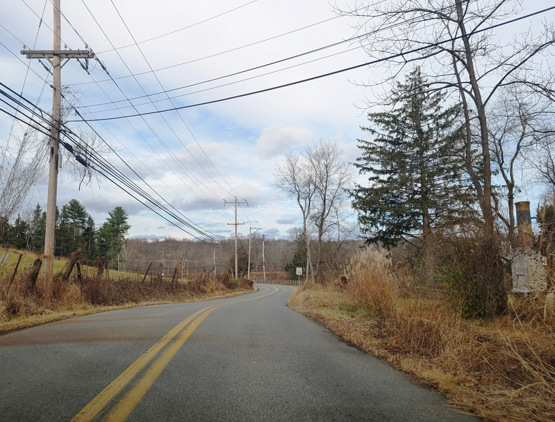 Ring Road winds north through wooded countryside in Chadds Ford Township, with bare trees and evergreens lining the roadside.