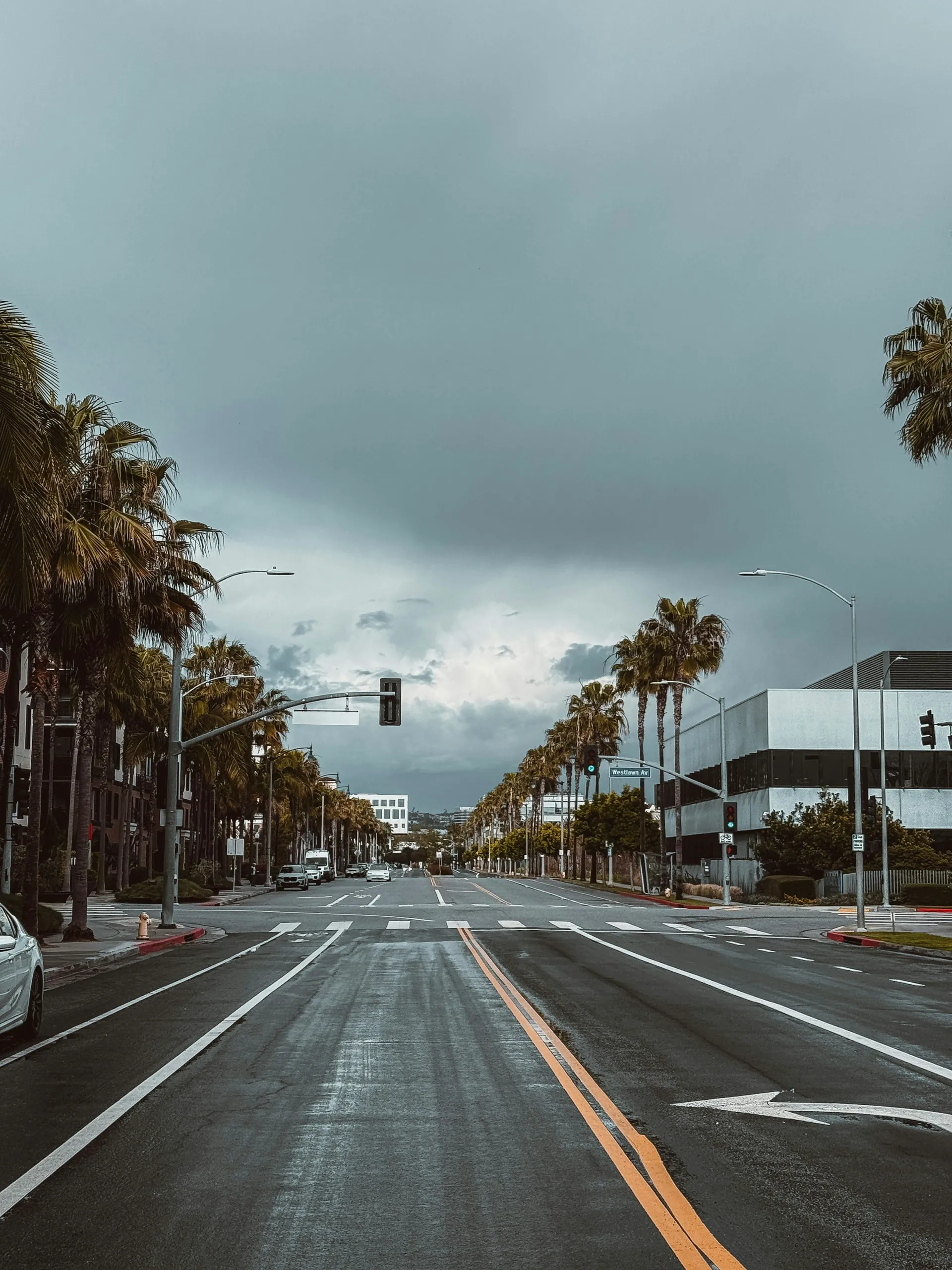 Palm-lined street and traffic lights in Playa Vista beneath a cloudy sky