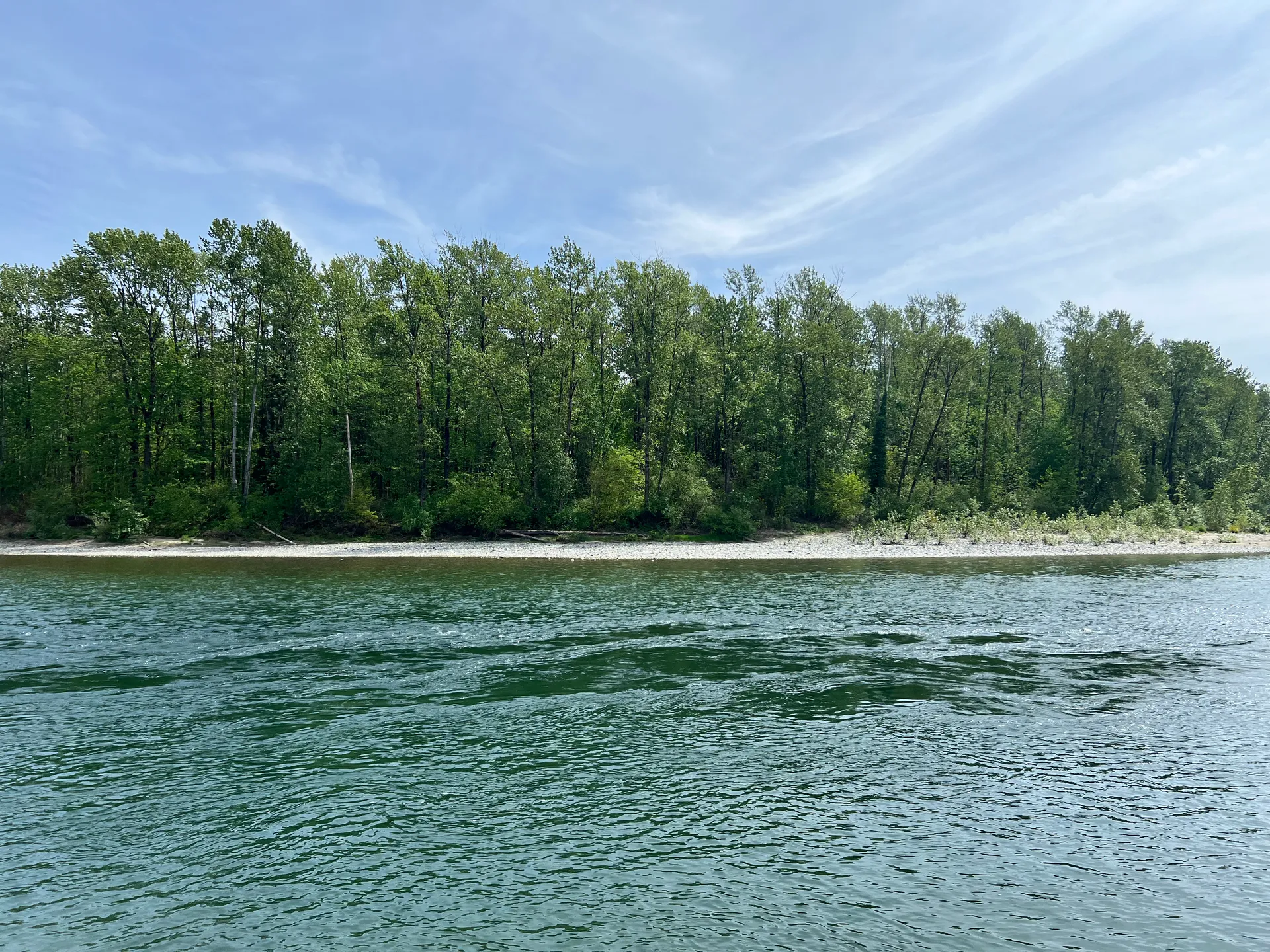 Skykomish River and forested shoreline near Sultan, Washington.