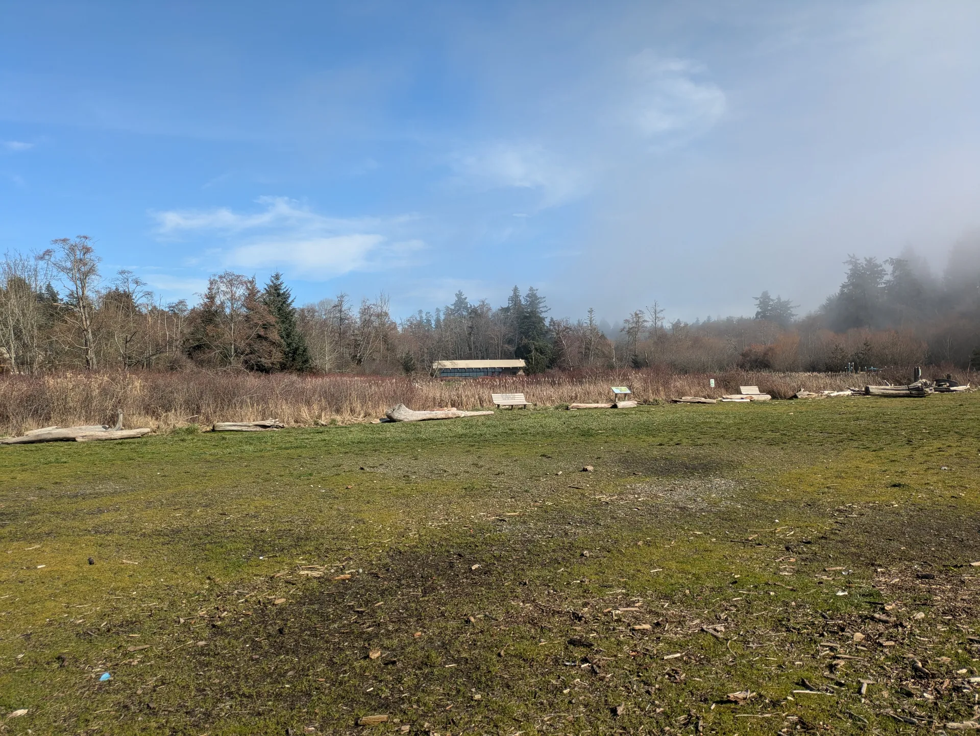 Normandy Park cove and surrounding shoreline in Normandy Park, Washington.