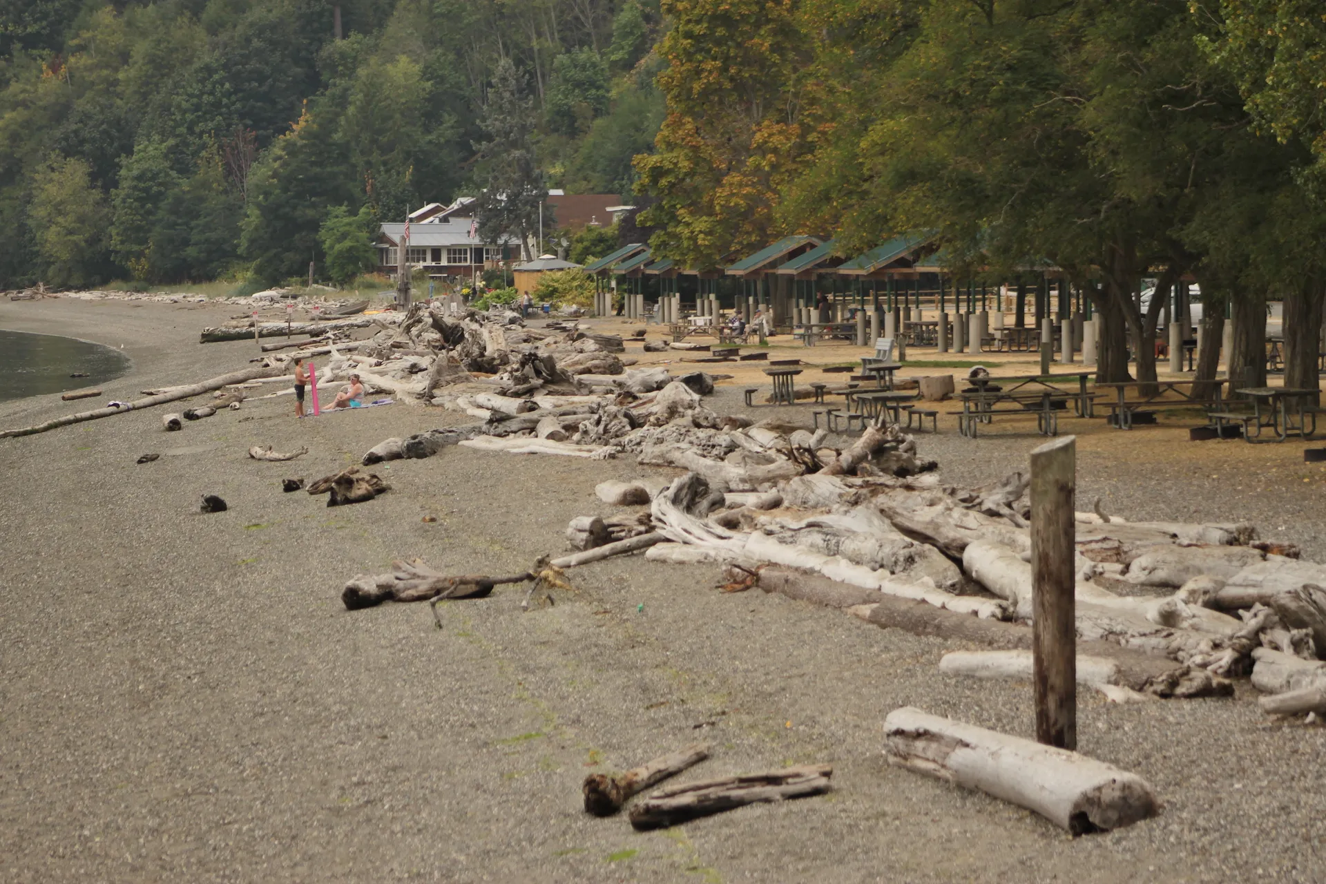 Driftwood beach at Kayak Point County Park, Washington.