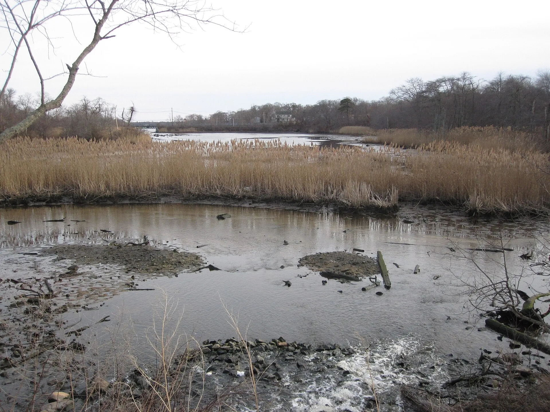 Forge River between Montauk Highway and LIRR Montauk Branch. Mastic, NY.