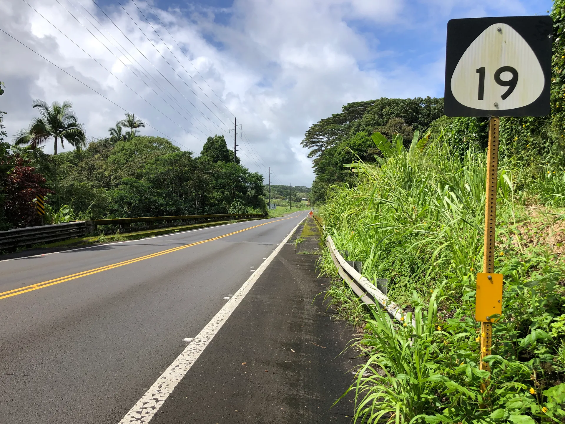 Hawaii State Route 19 lined with lush greenery near Honomu, Hawaii.