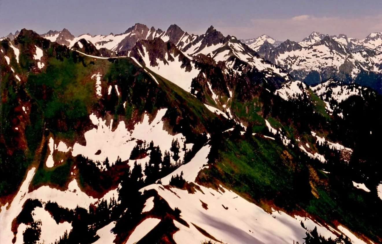 Green mountain view of the North Cascades from Summit View, Washington.
