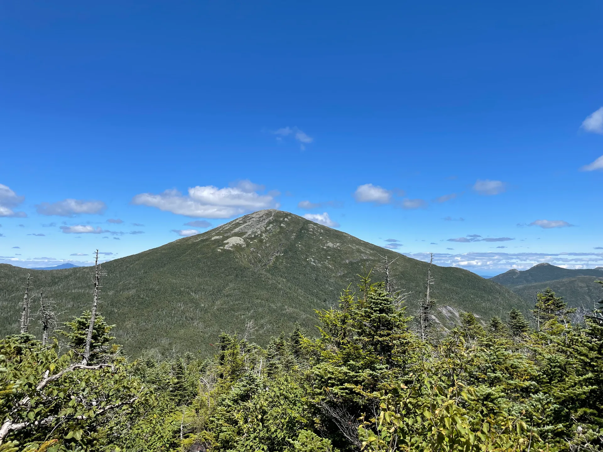 Mount Marcy rising above evergreen forest in the Adirondacks near Marcy, New York.