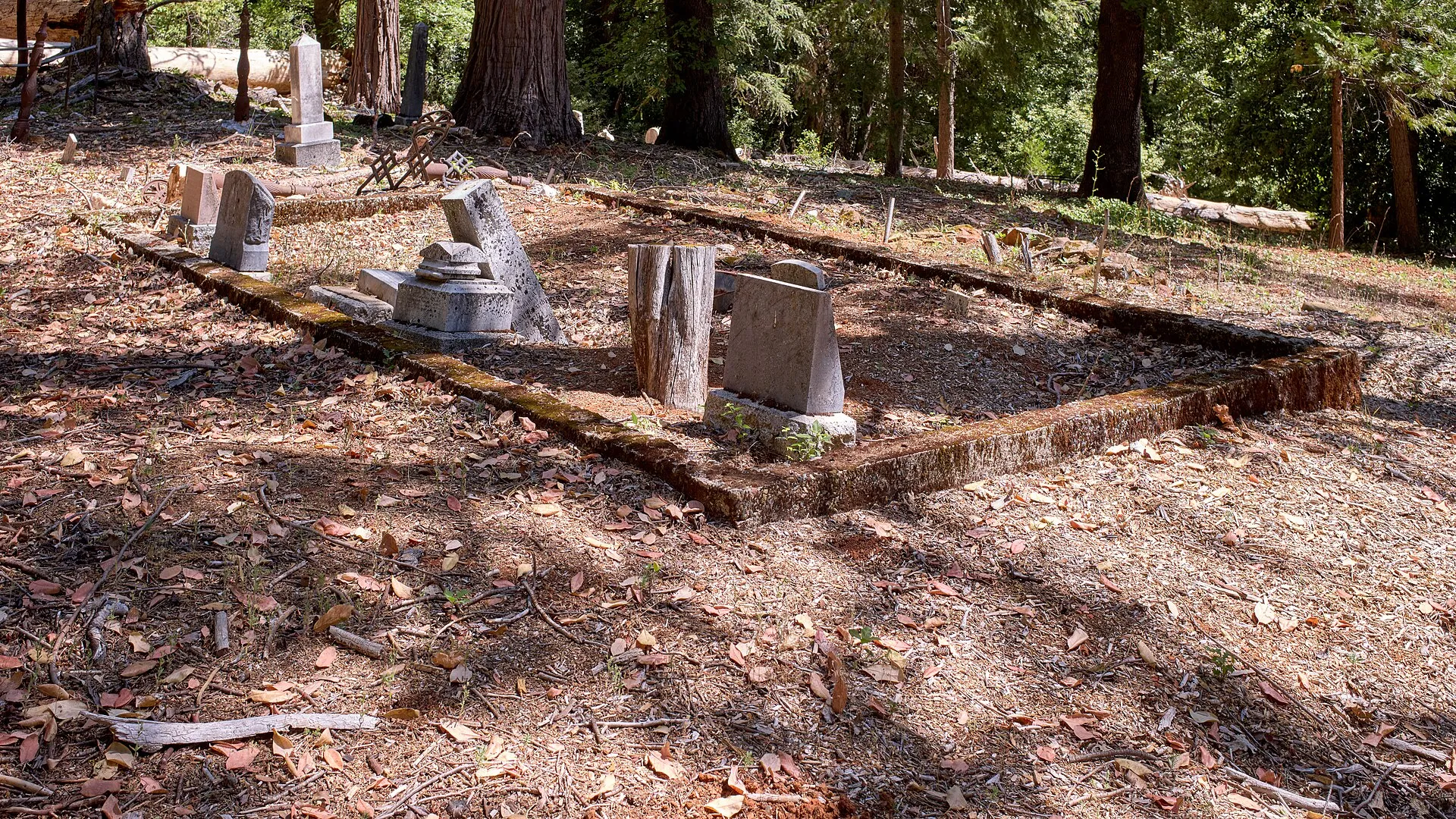Graves and wooded grounds at the pioneer cemetery in Forbestown, California.
