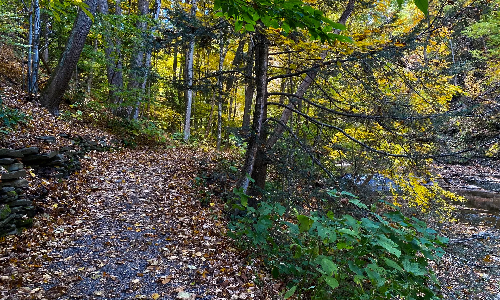 Wooded trail through autumn forest at Grimes Glen near Naples, New York.