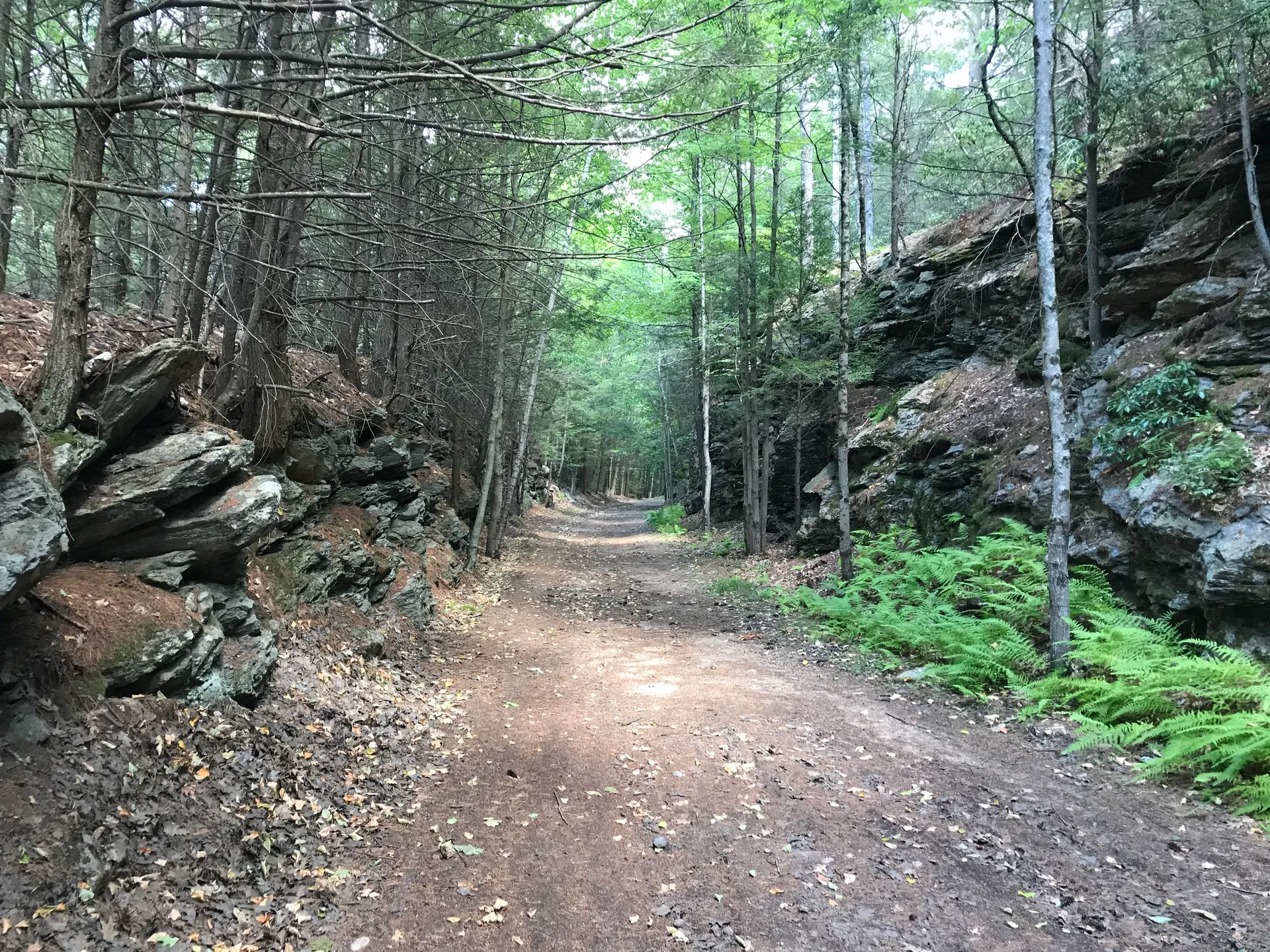 Mason Railroad Trail through a rock cut in Greenville, New Hampshire.