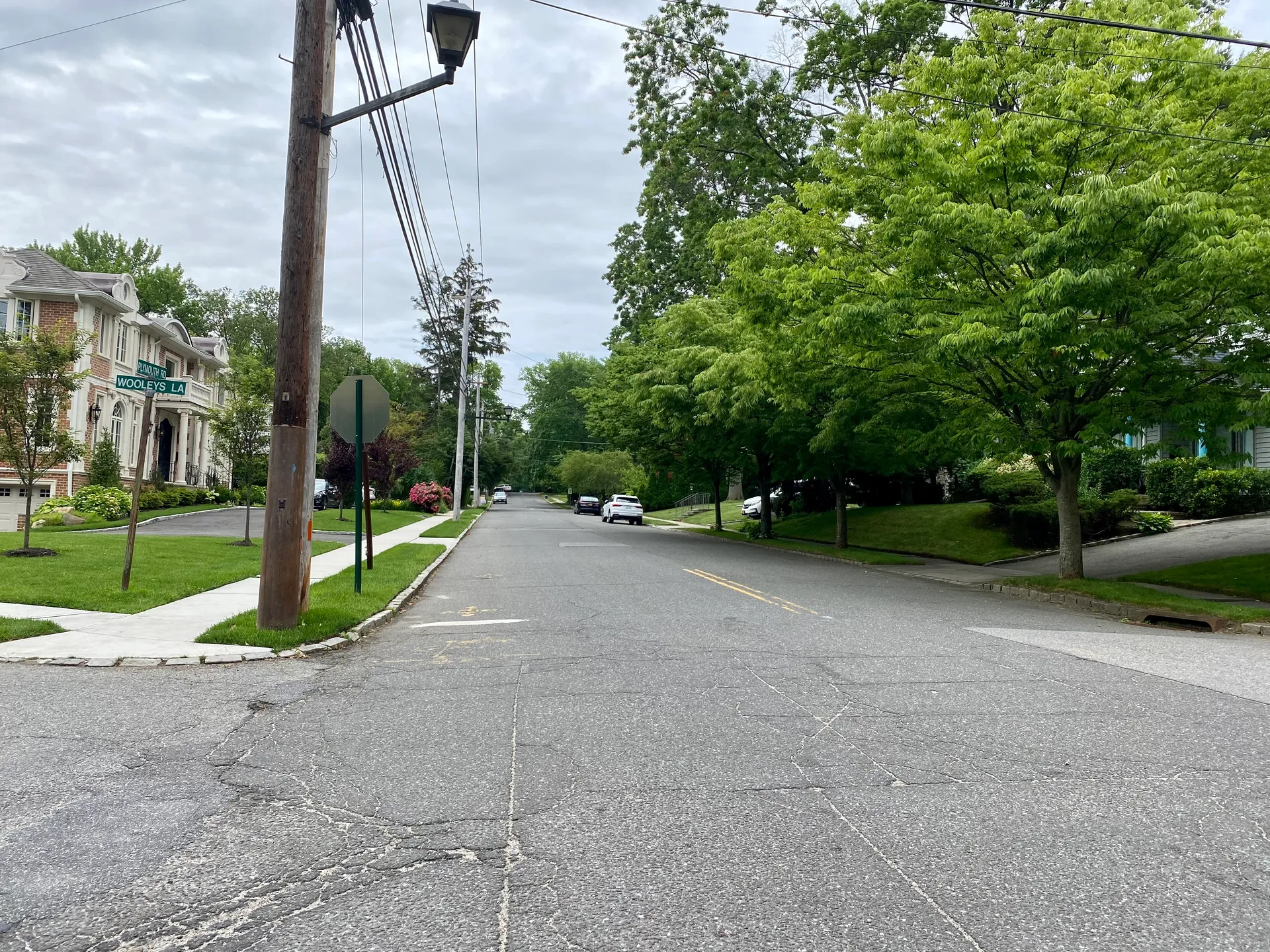 Tree-lined residential street in Great Neck Gardens, New York.