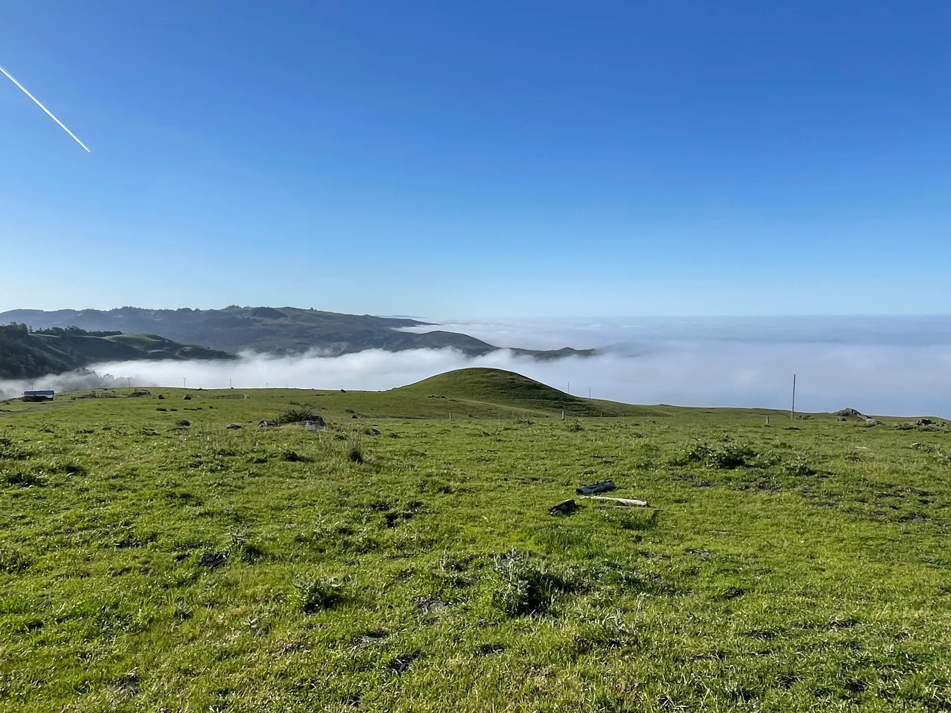 Ocean fog rolling over coastal prairie at Jenner Headlands Preserve in Sonoma County, California.