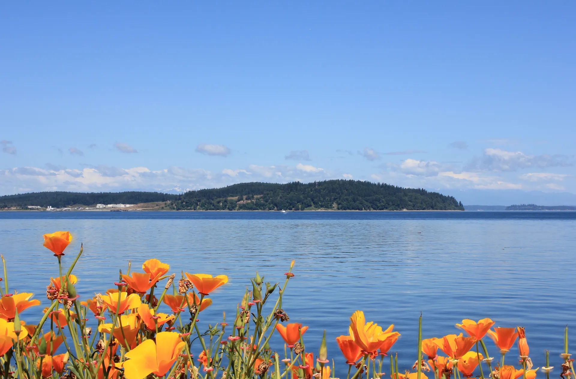 Anderson Island and Puget Sound seen from Steilacoom, Washington.