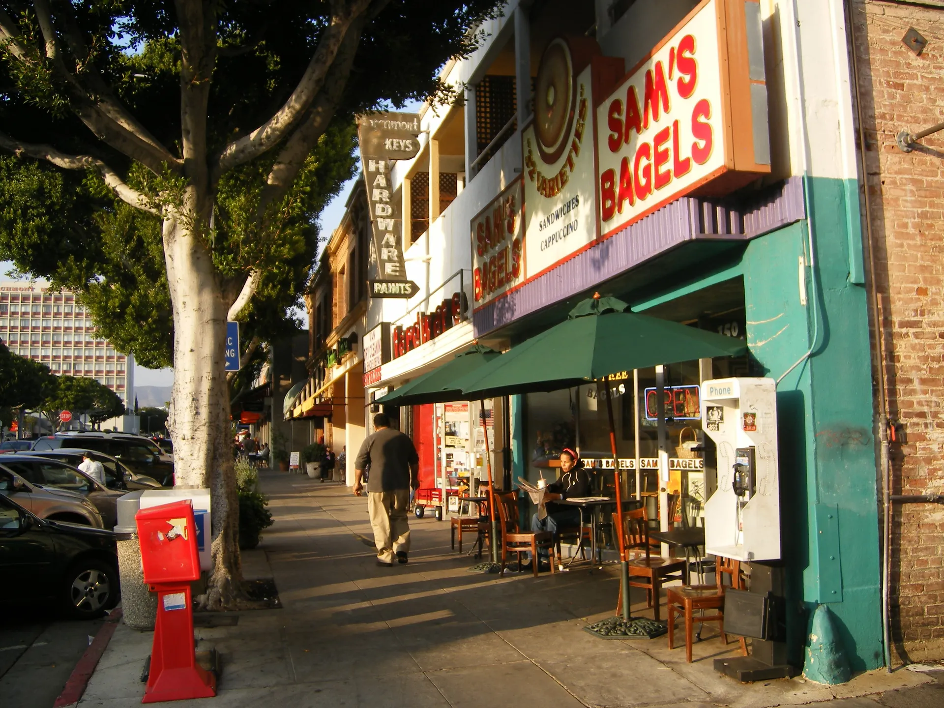 Sidewalk, trees and storefronts on Larchmont Boulevard in Los Angeles.