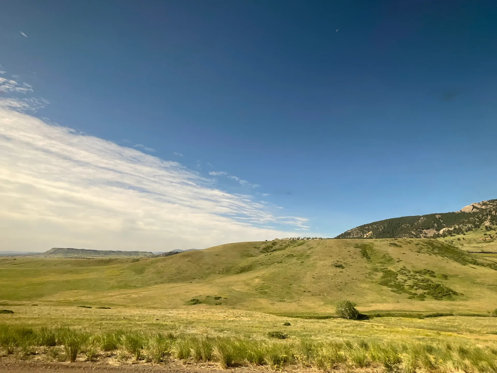 Rolling green grasslands near Arvada, Colorado, seen from the California Zephyr.