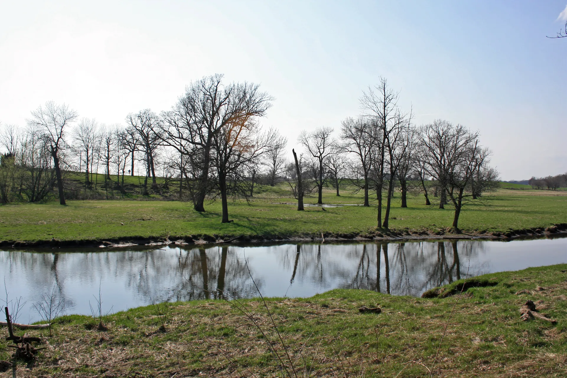 Pond and trees in Big Rock Township, Illinois.