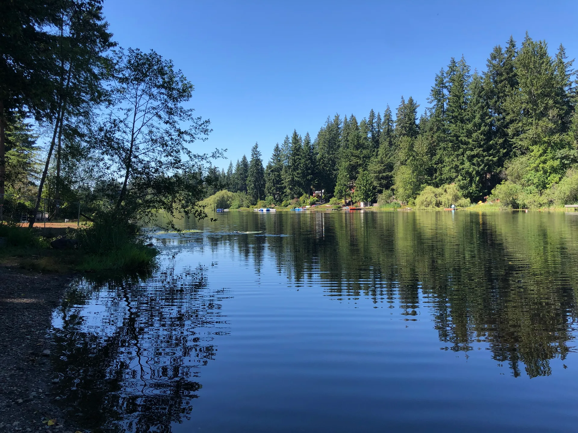 Calm Lake Holm reflecting evergreen forest in King County, Washington.