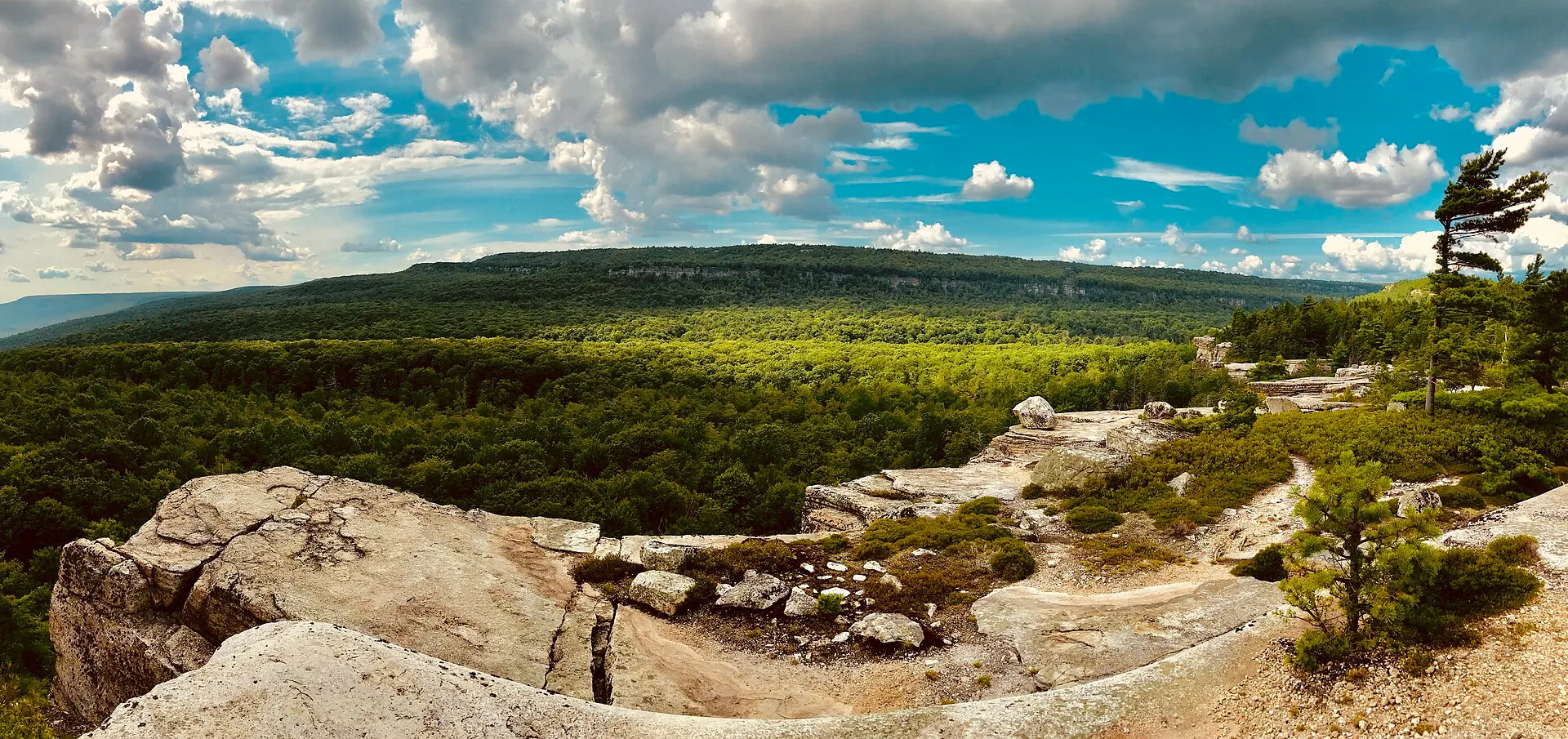 Wooded ravine and cliff views at Palmaghatt Kills near Millbrook, New York.
