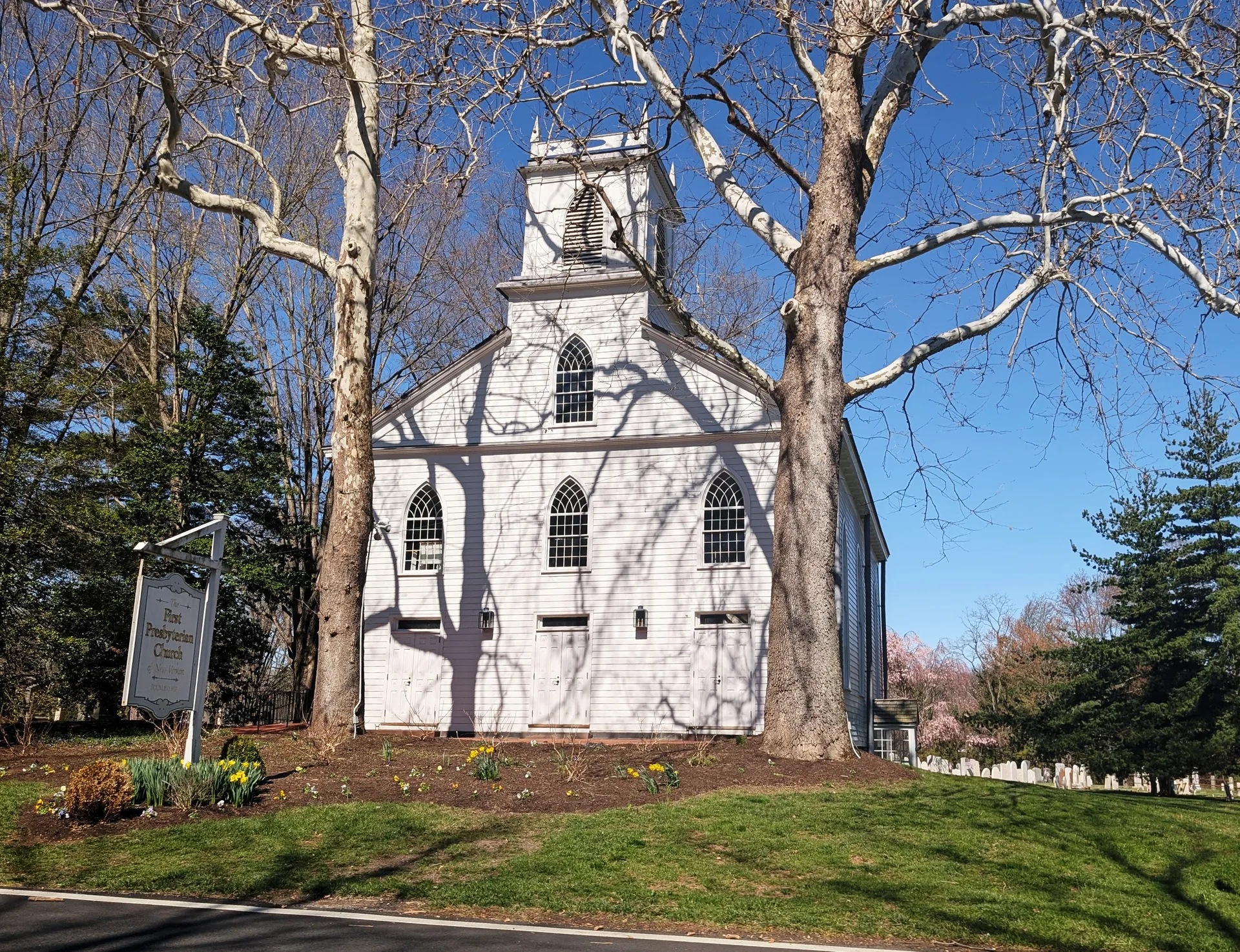 The First Presbyterian Church in New Vernon, Harding Township, is a white church with a belfry framed by sycamores.