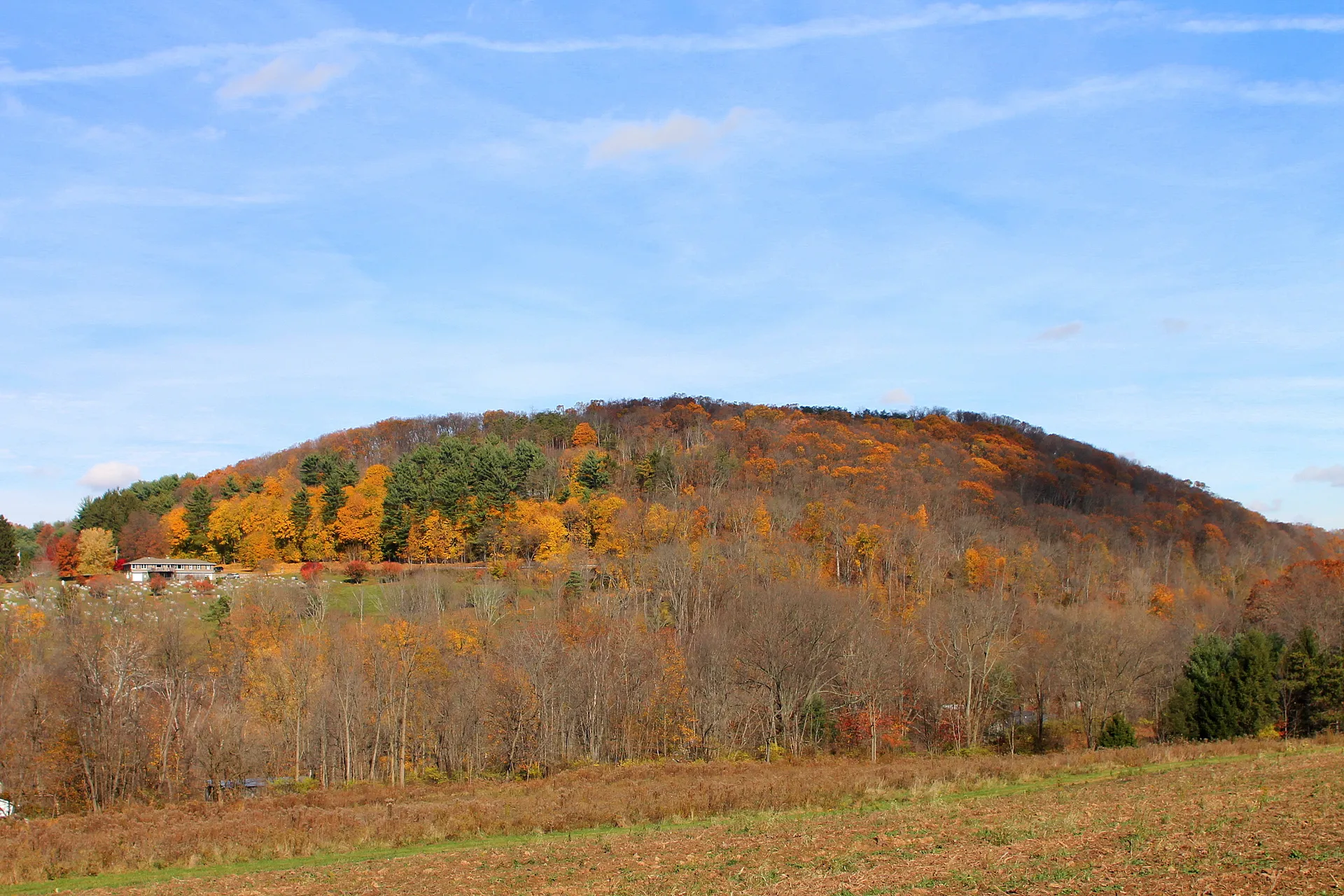 A hillside covered in orange and gold fall foliage rises above open farmland in Catawissa Township, Columbia County.