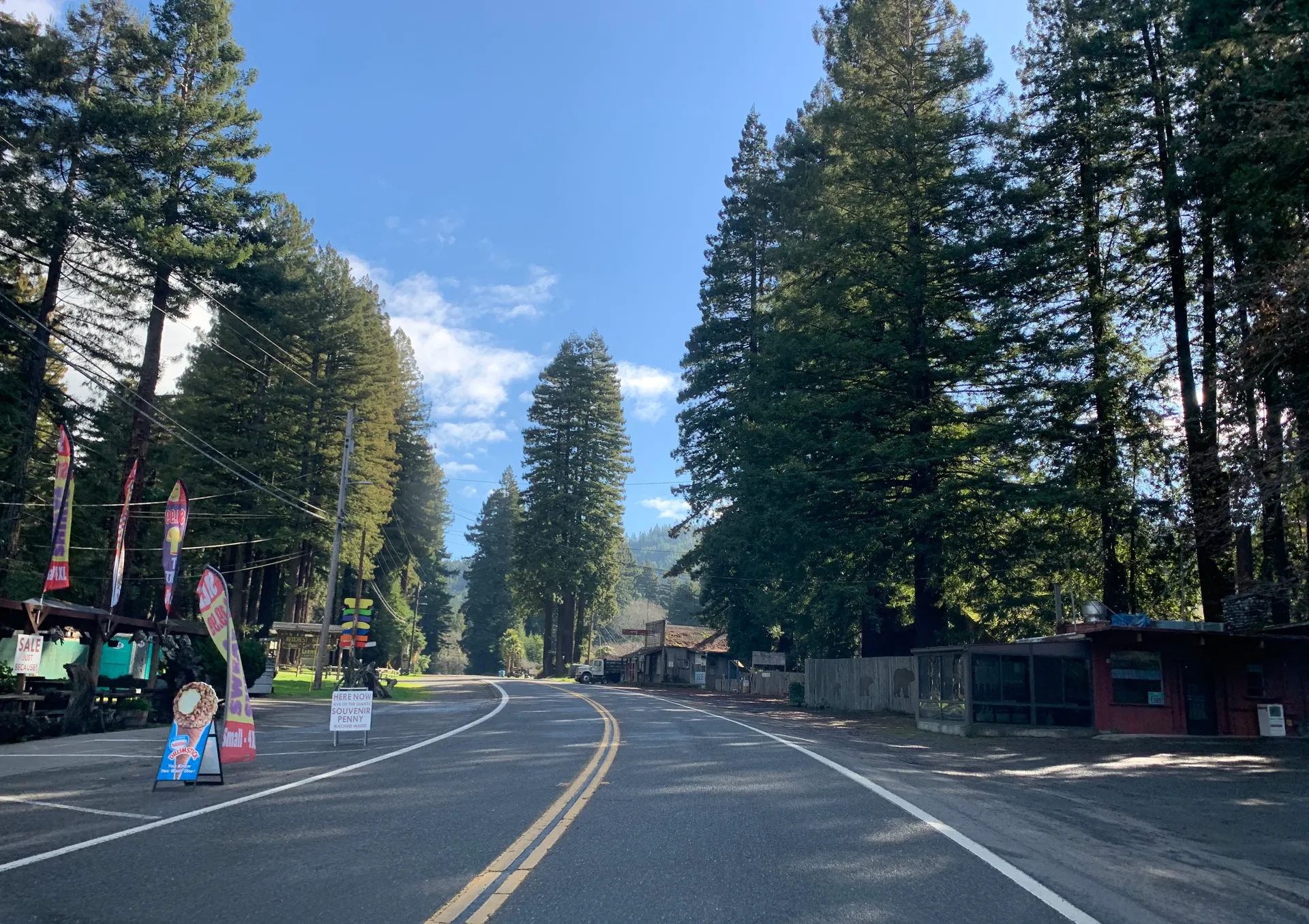 Street through Redcrest, California, lined with tall trees and local buildings.